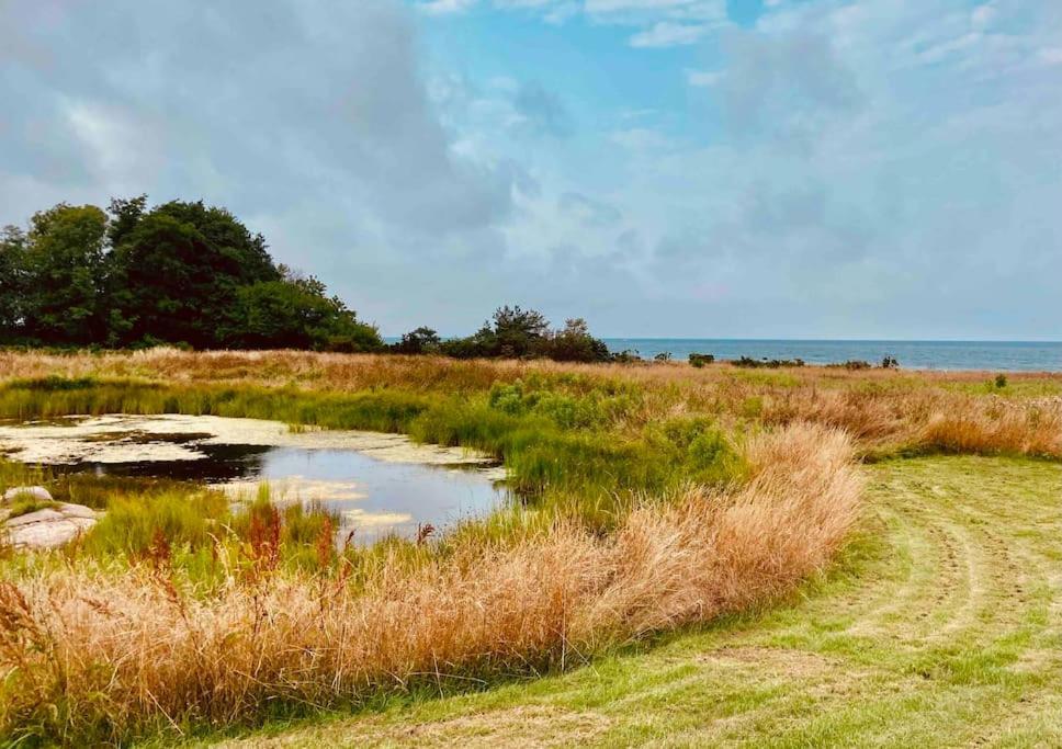 Wildernest Bornholm - Fasanen