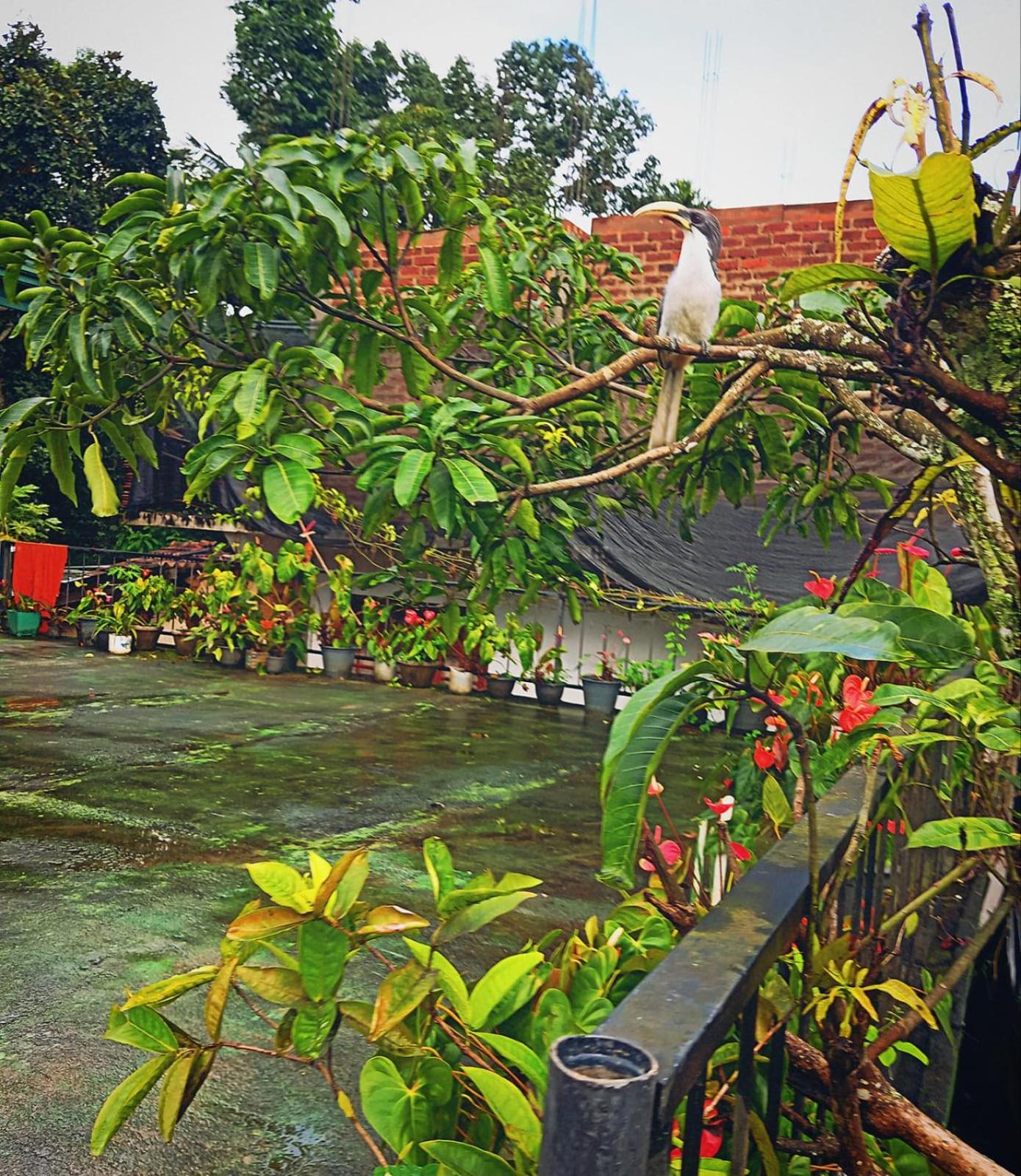 Welcome Homestay view 3