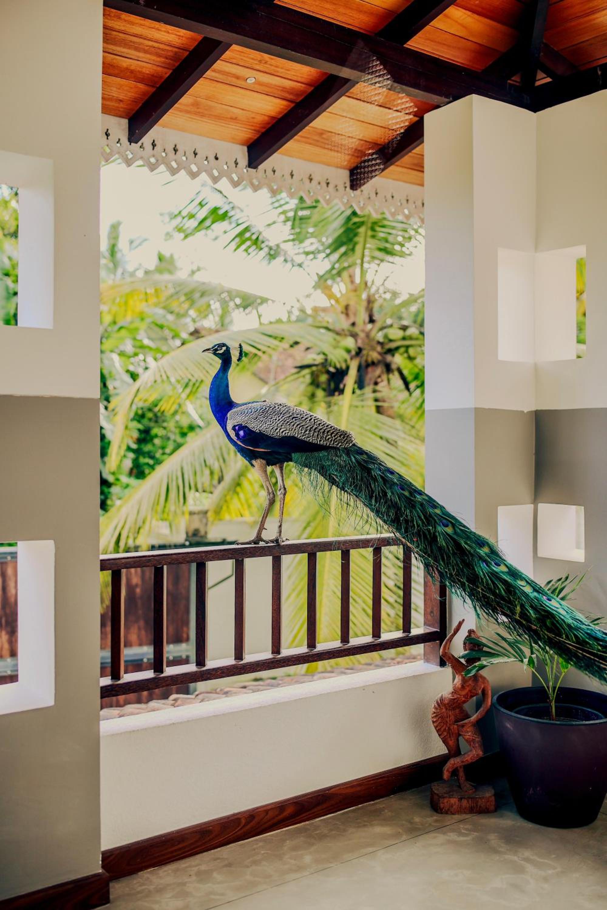 Villa Samas view 5