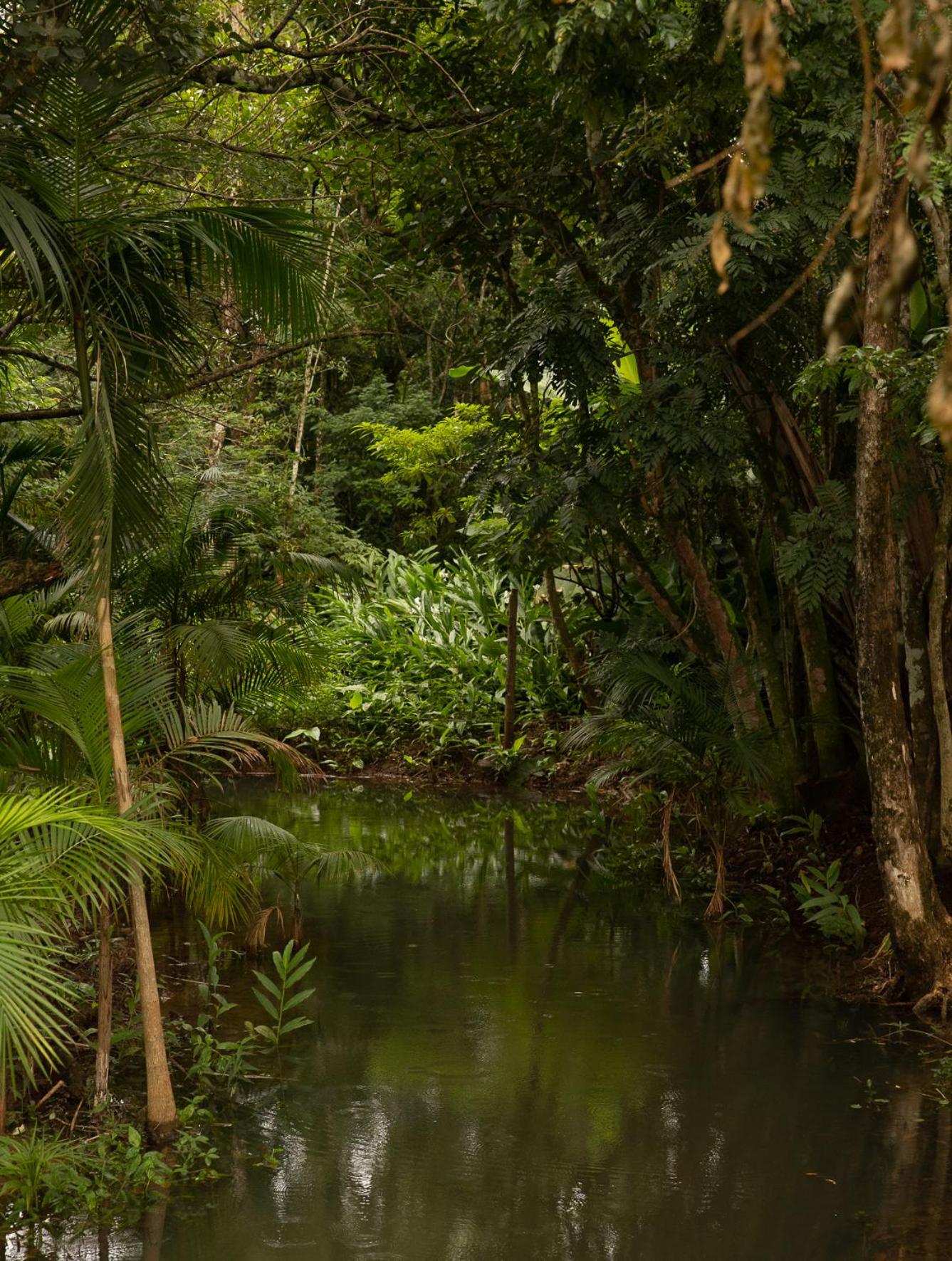 Pousada Índios Coroados