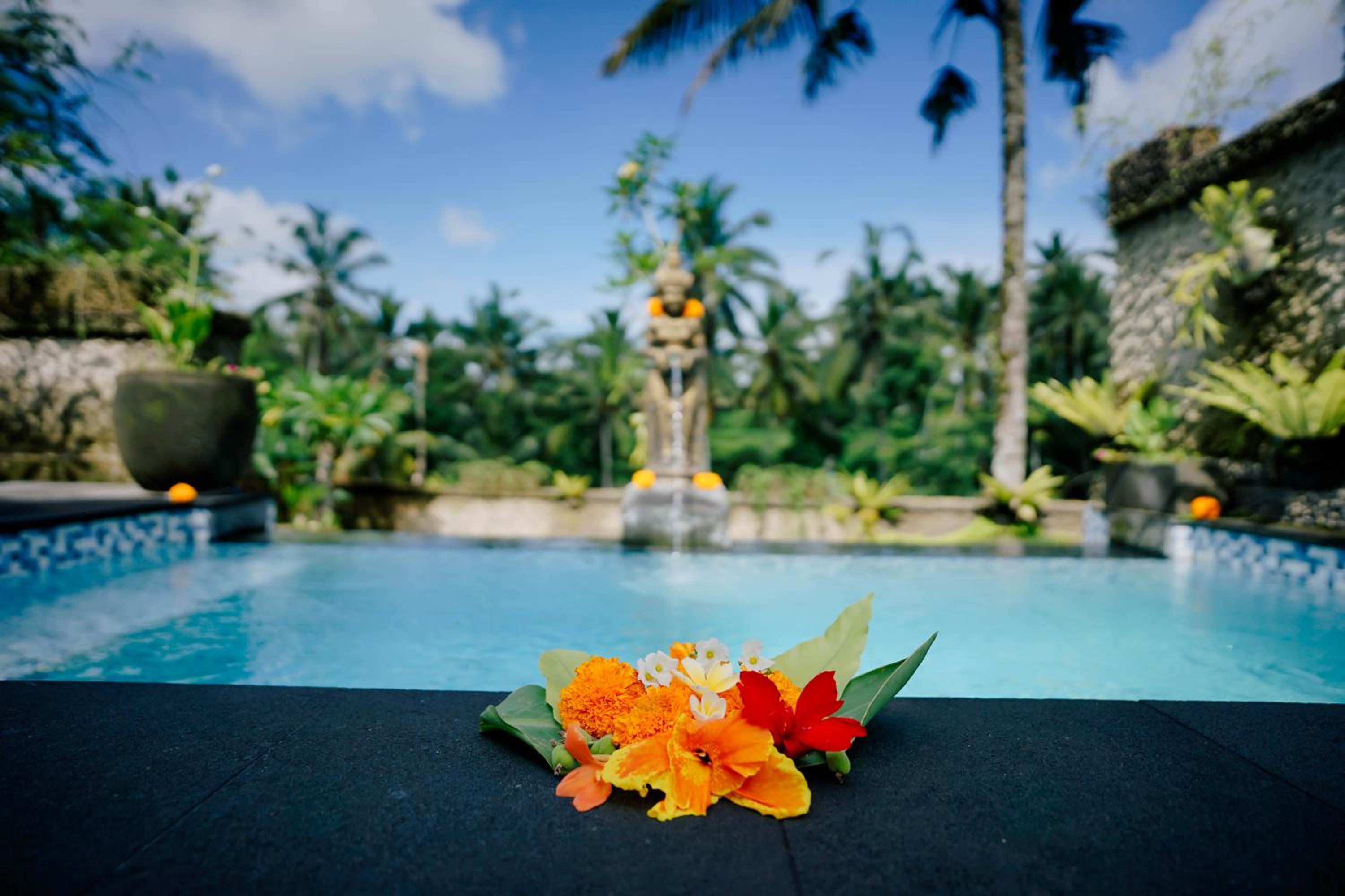 Alvia Joglo House & Private Pool view 2