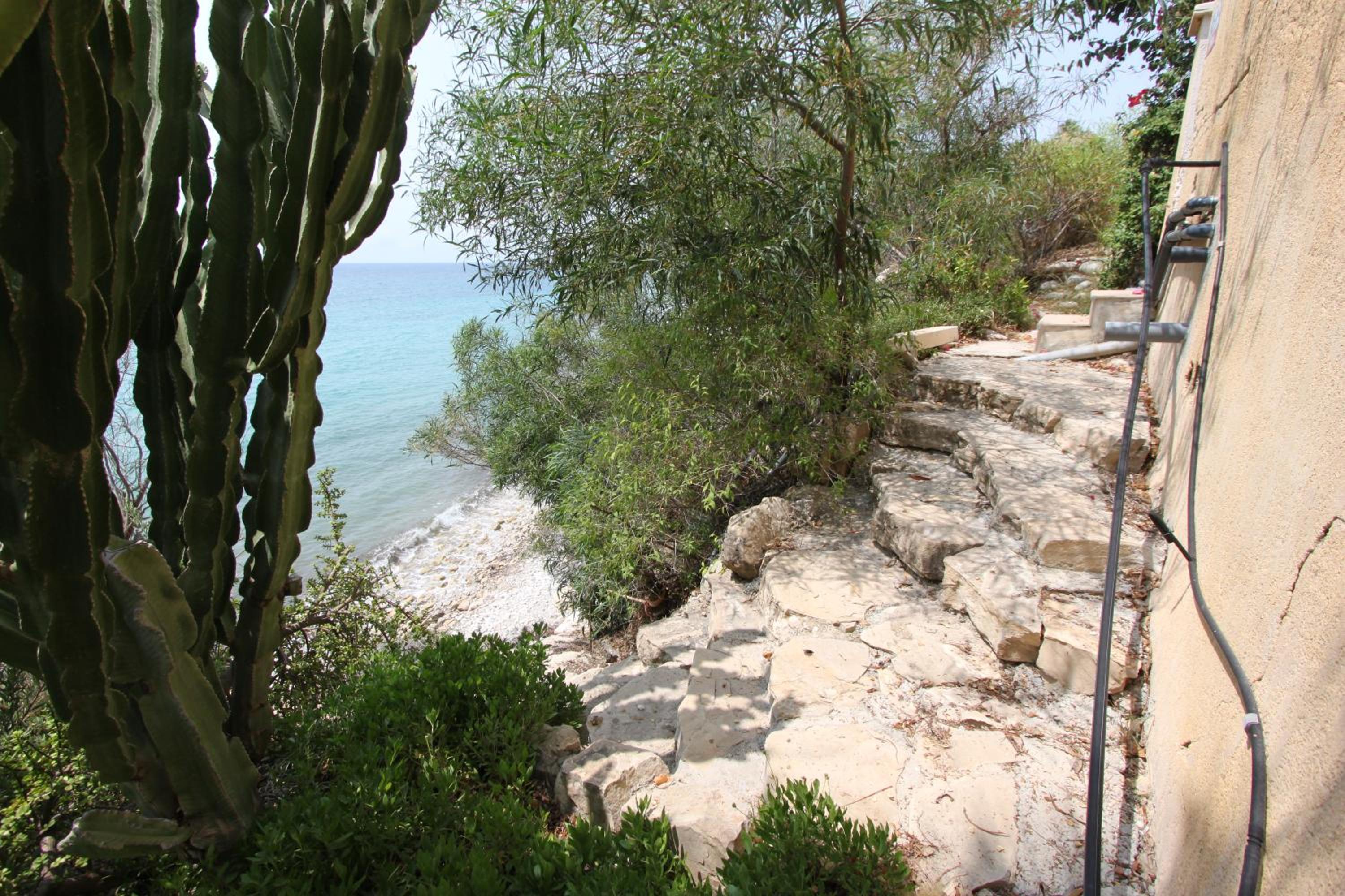 Photo 45