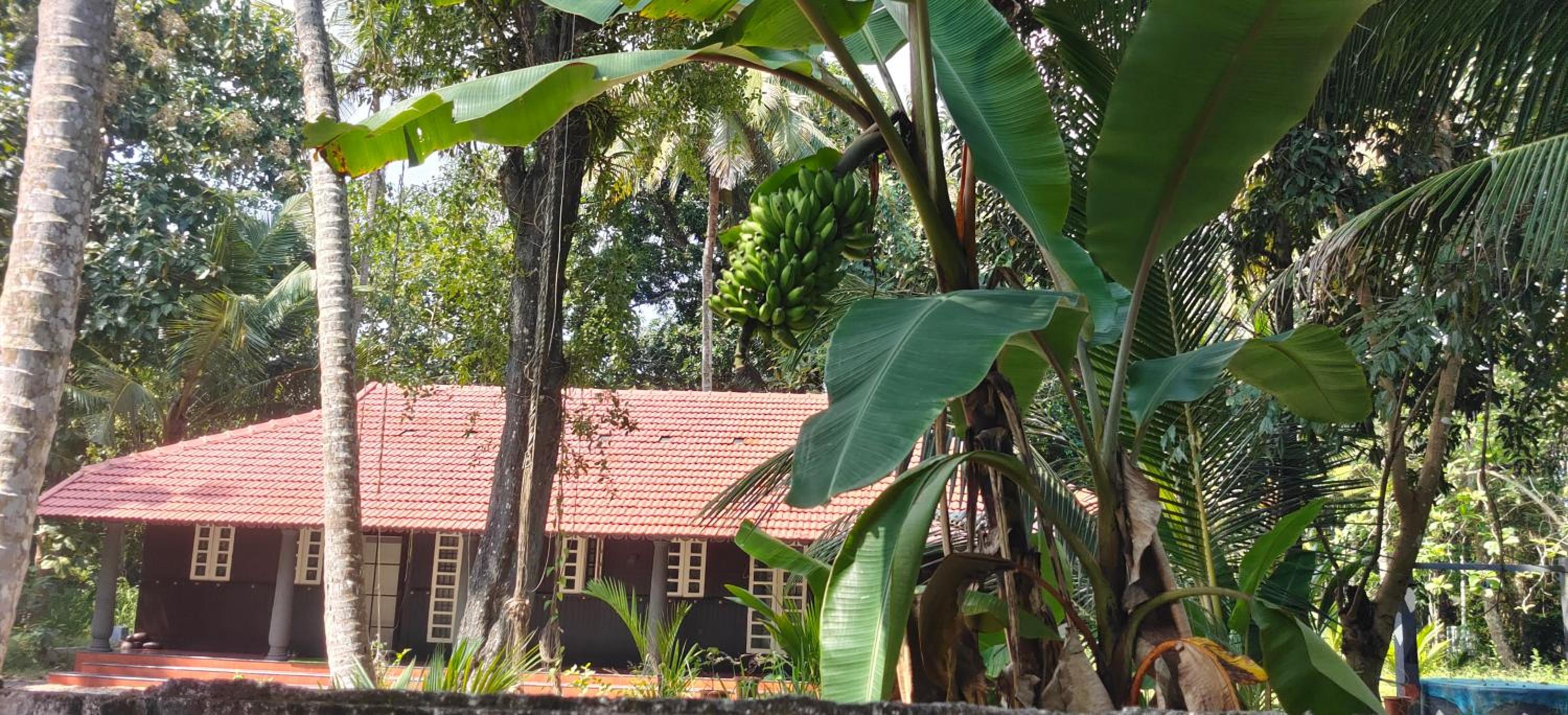 Manjippuzha Nature Space view 2