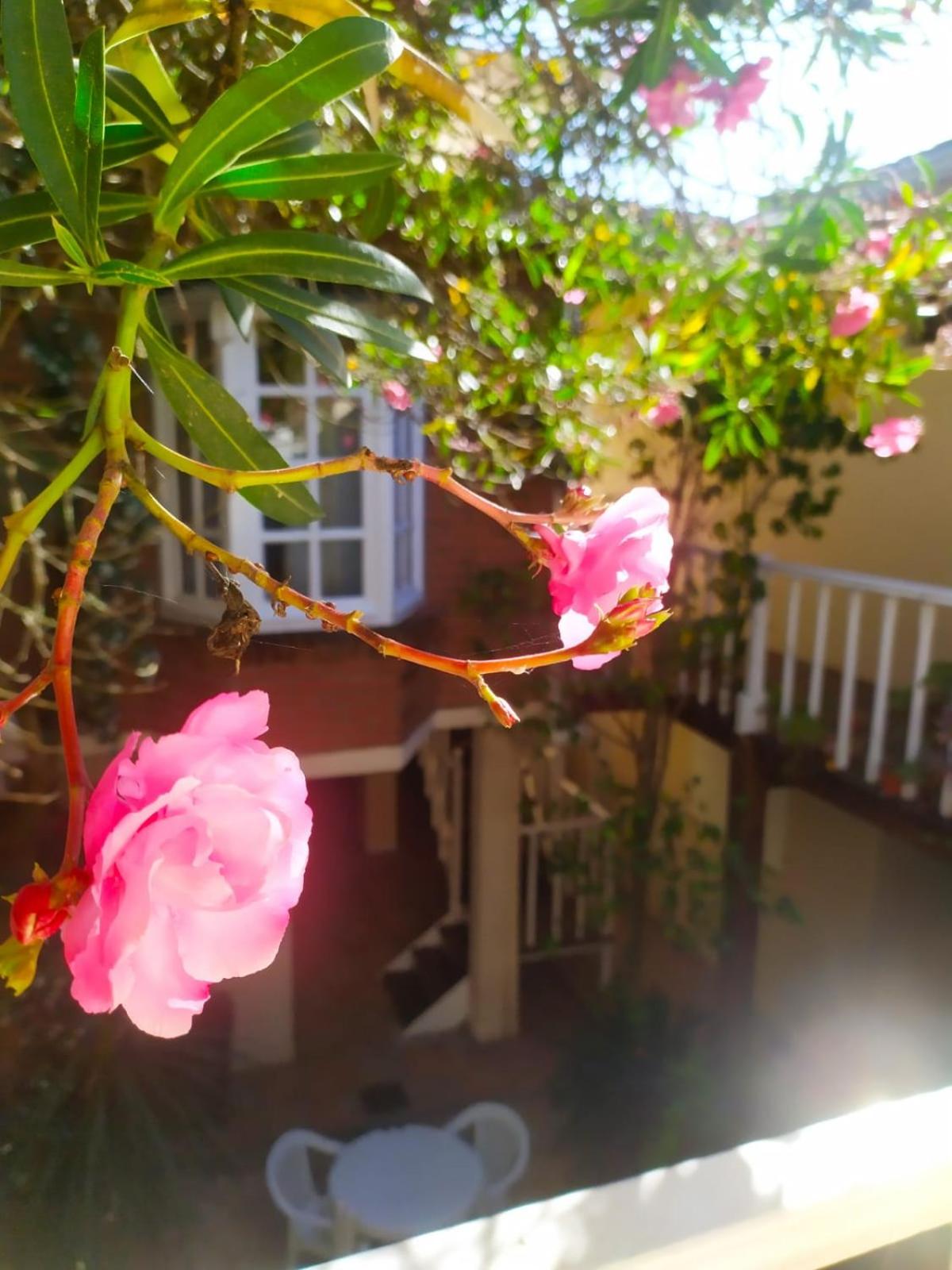 Hostería Costa Bonita