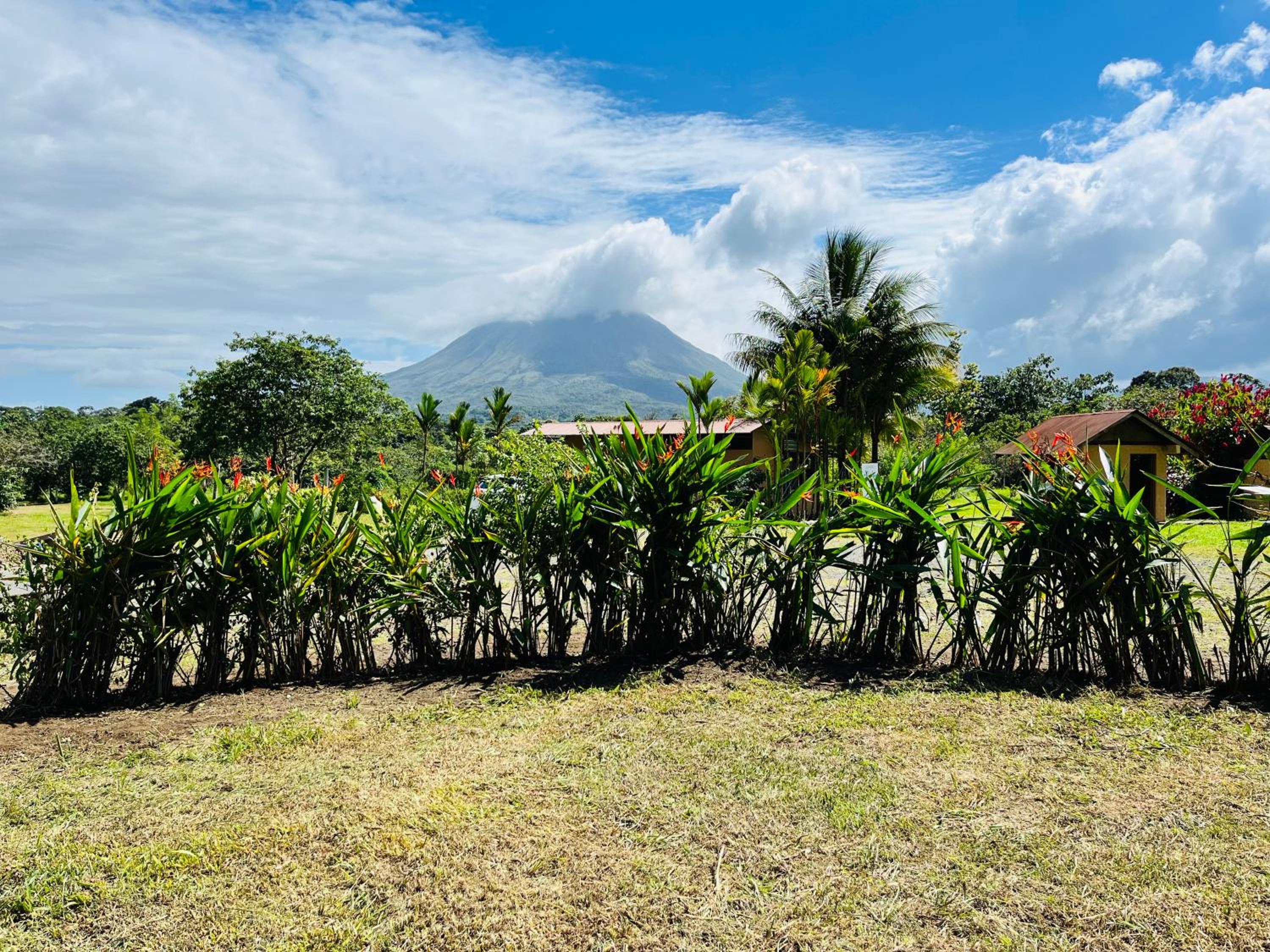 The Wellness Park Costa Rica