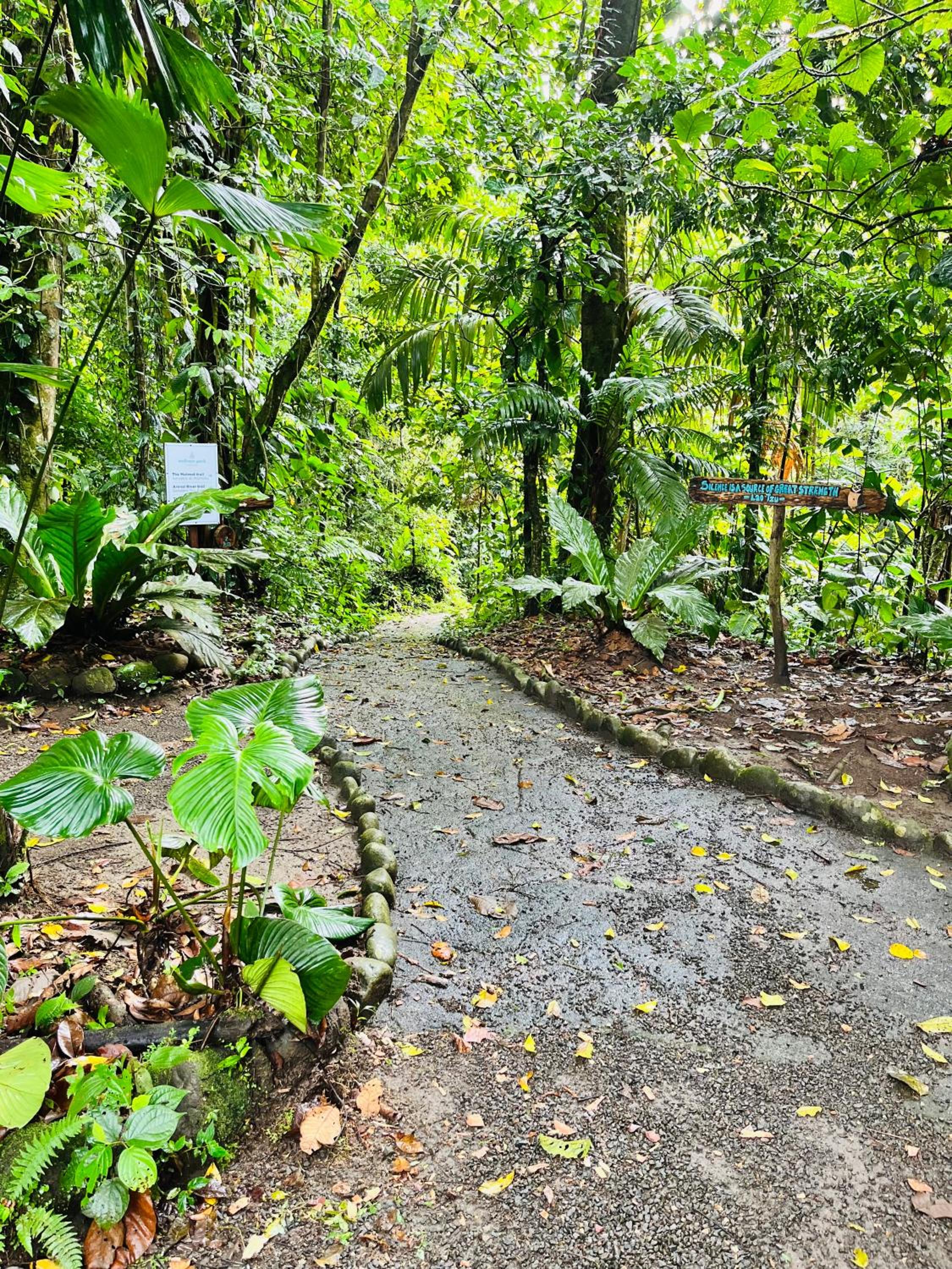The Wellness Park Costa Rica