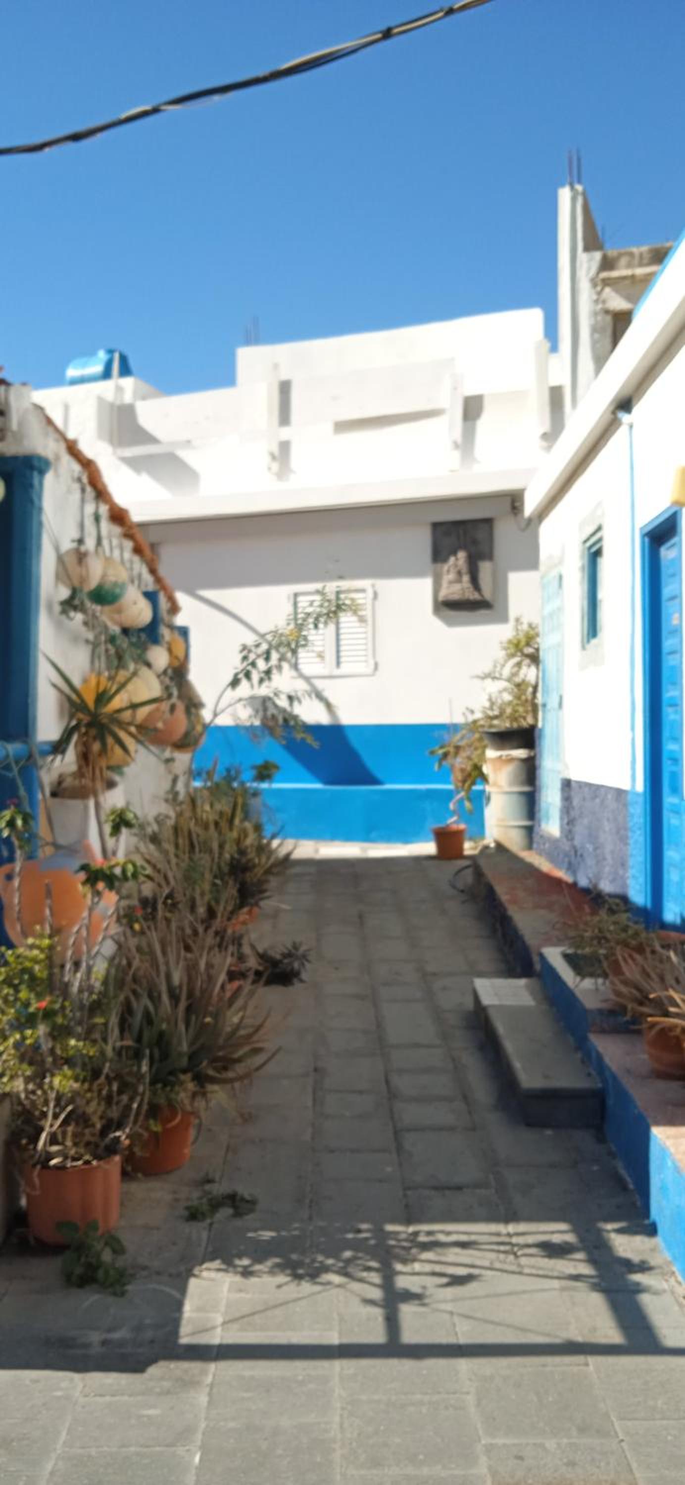 Oasis El Palmeral de Agaete