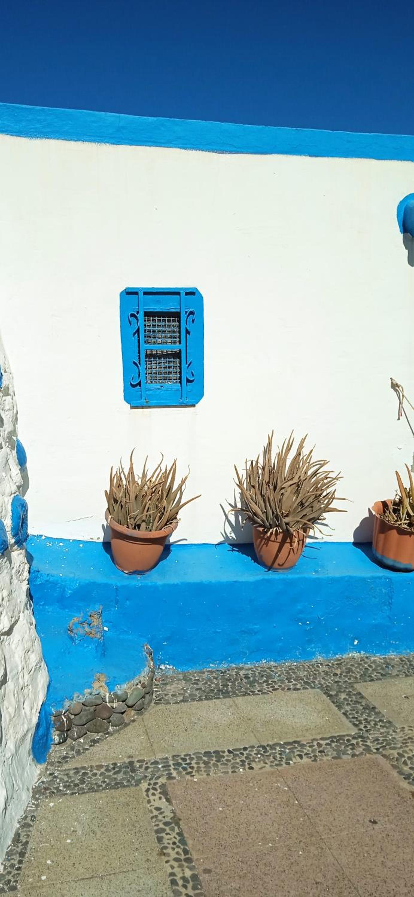Oasis El Palmeral de Agaete