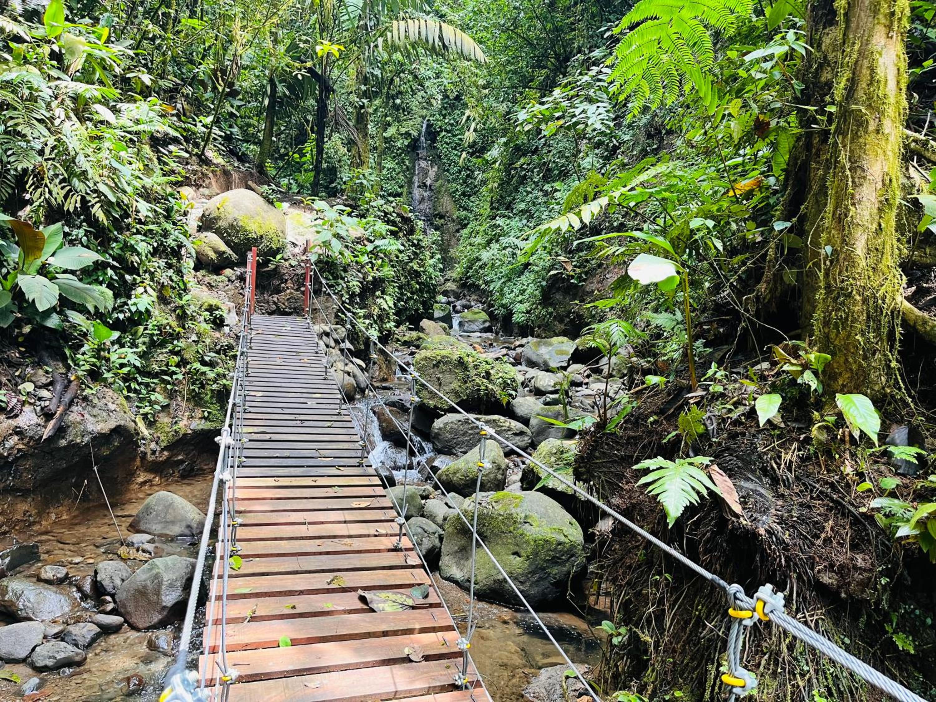 The Wellness Park Costa Rica