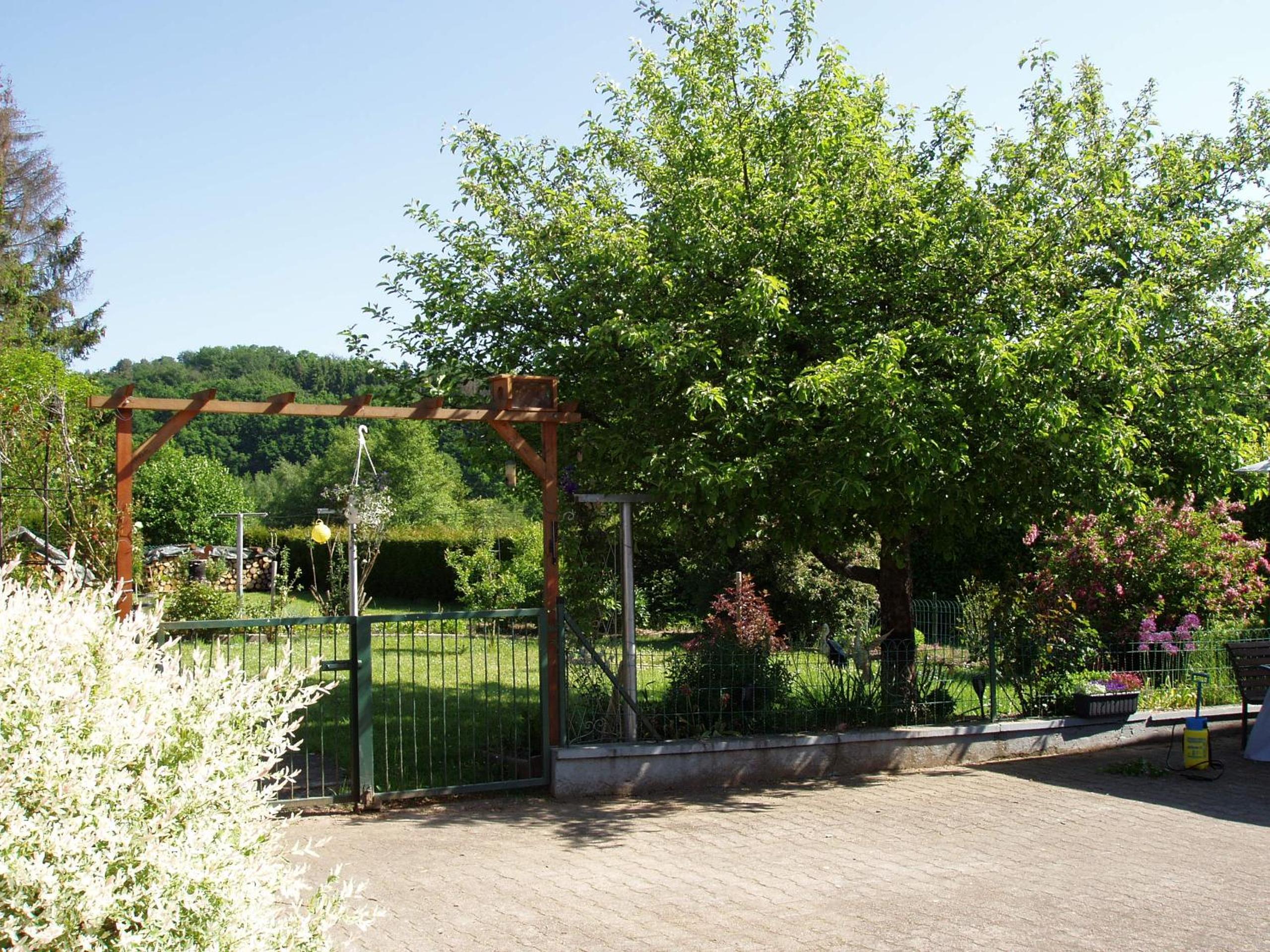 Photo 22