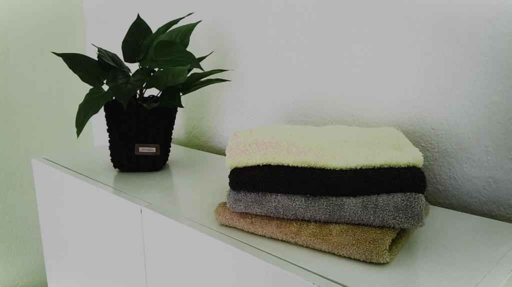 Apartment Beatris