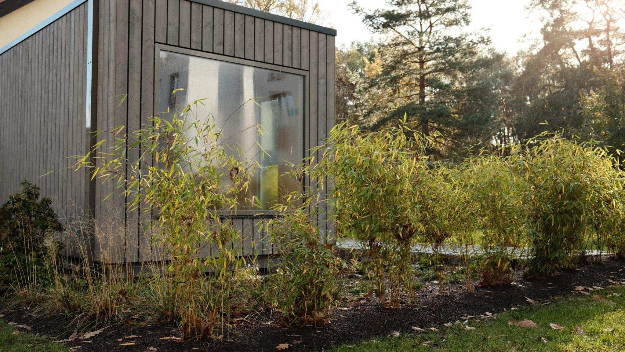 bluestar apartments am Storkower See inkl Badesteg und Gartensauna