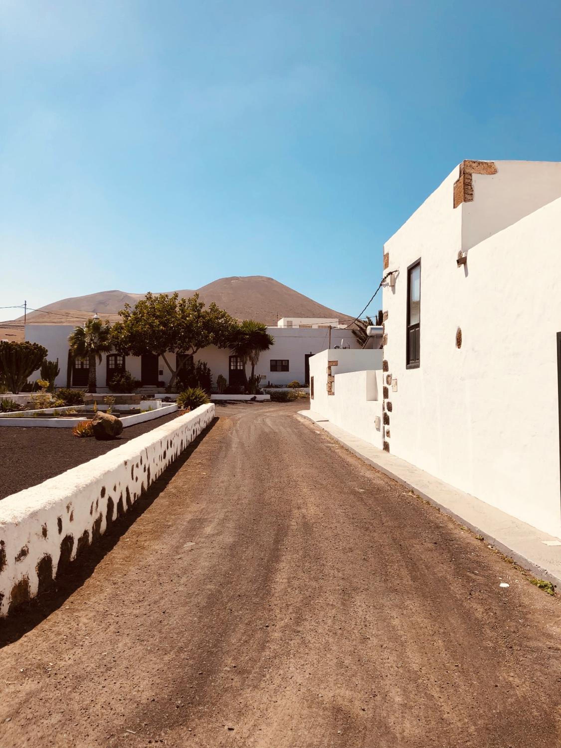 Rincon Botanico Studio - Shared Pool - Central Island Location - 10 mins drive to Famara and La Santa photo 5