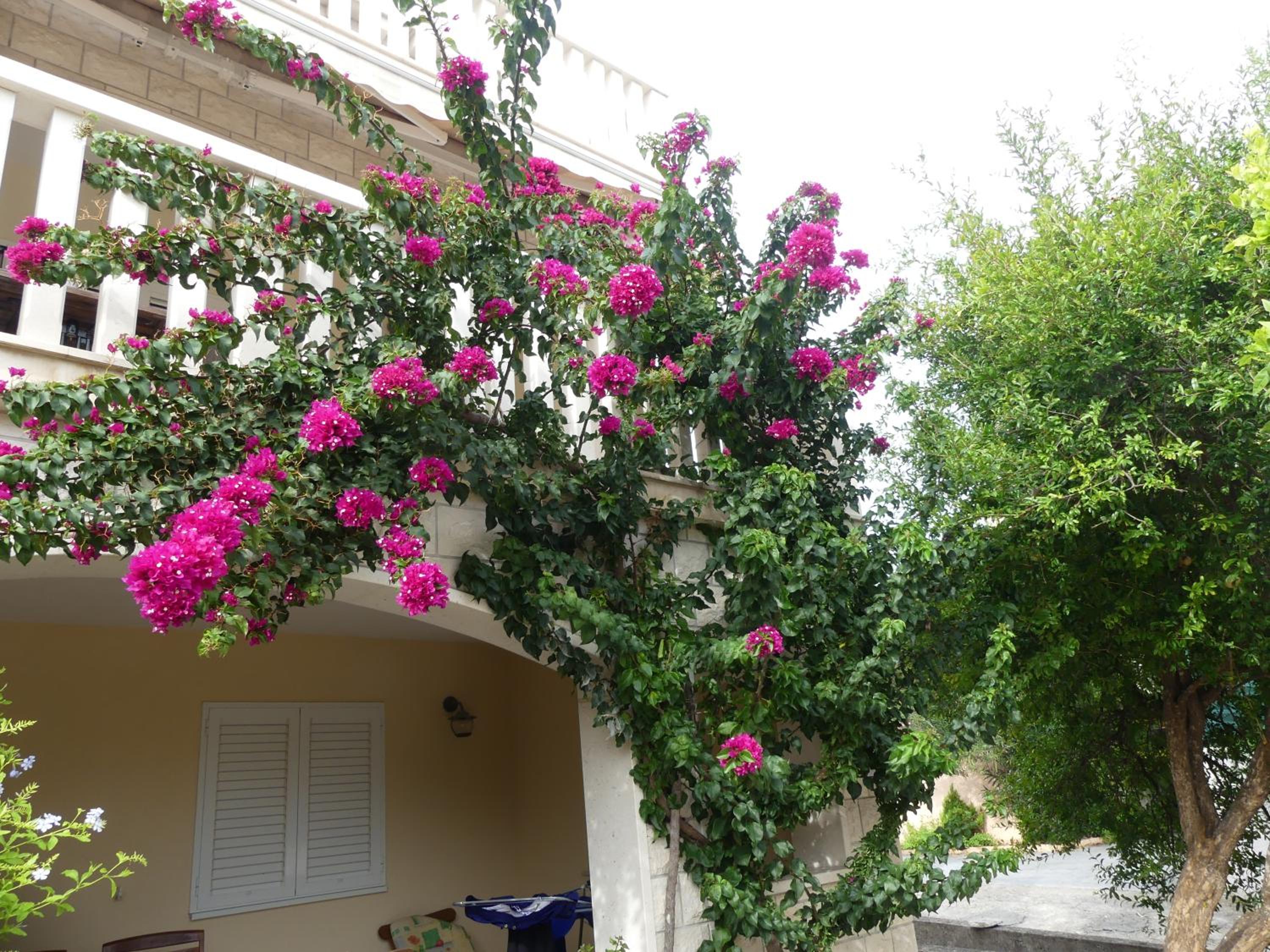 Villa Skoric view 4