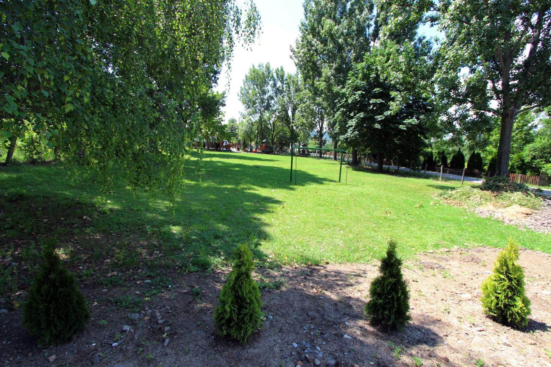 Photo 31