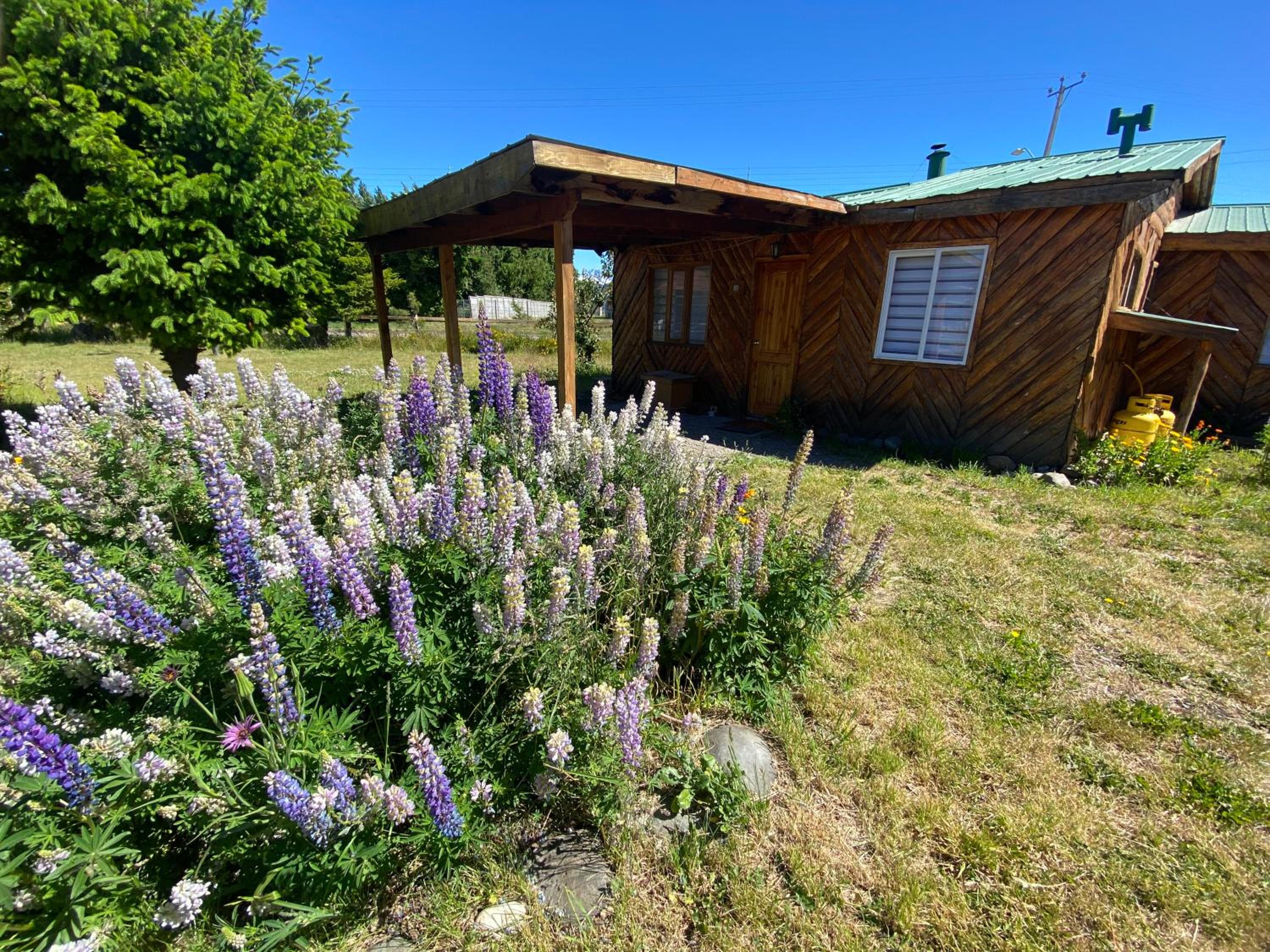 Patagonia Bordelago Lodge view 3