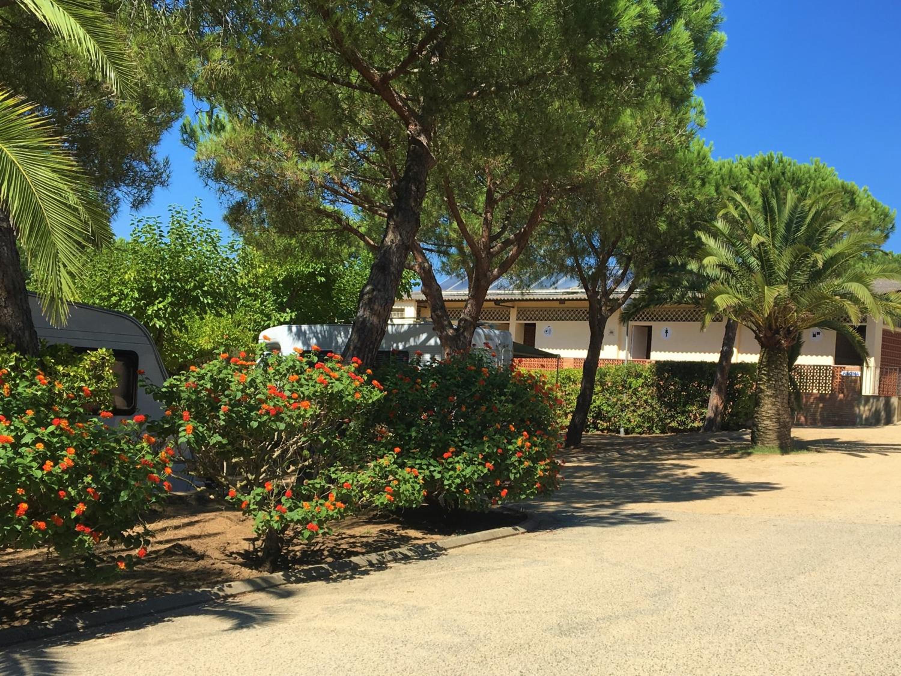 Cozy Glamping Chalet in Palams with Garden View
