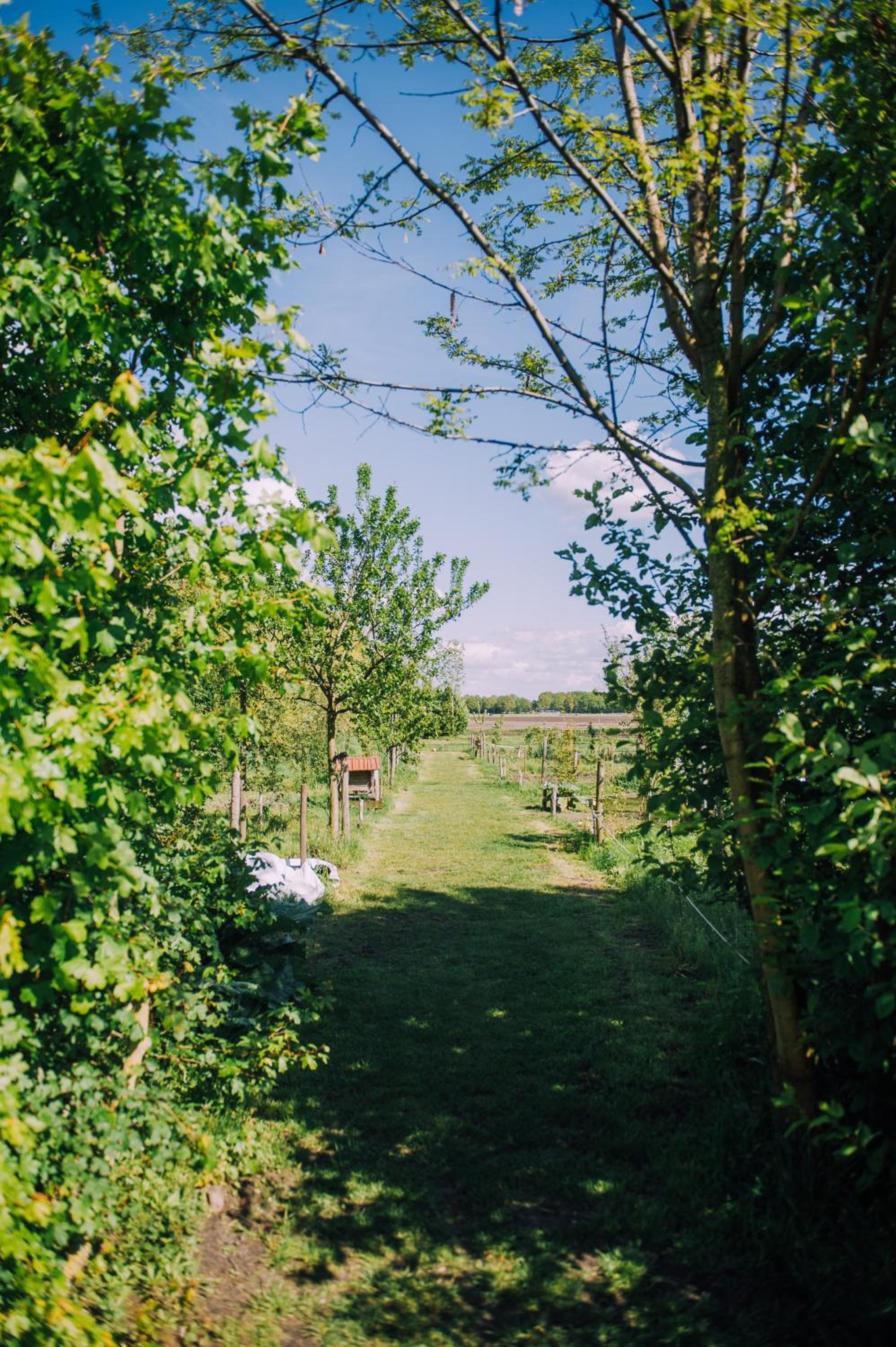 Photo 9