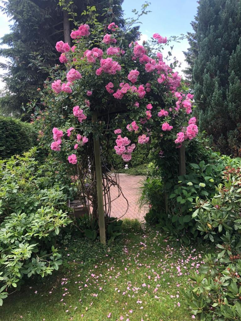 Pension Roklan
