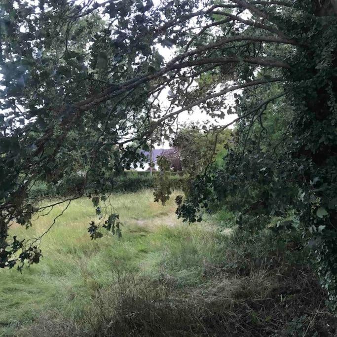 Priory Meadow Cottage