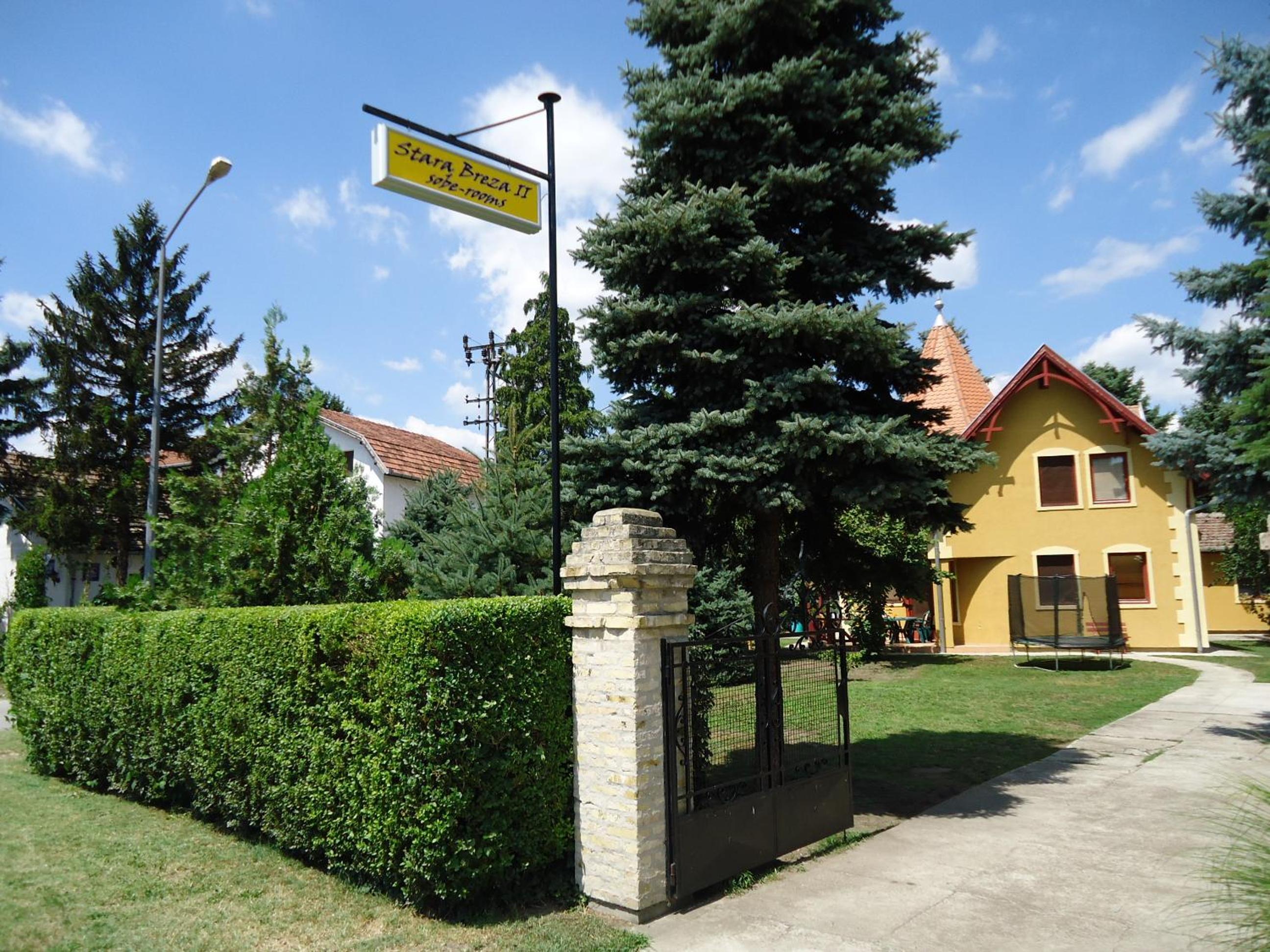 Photo 12