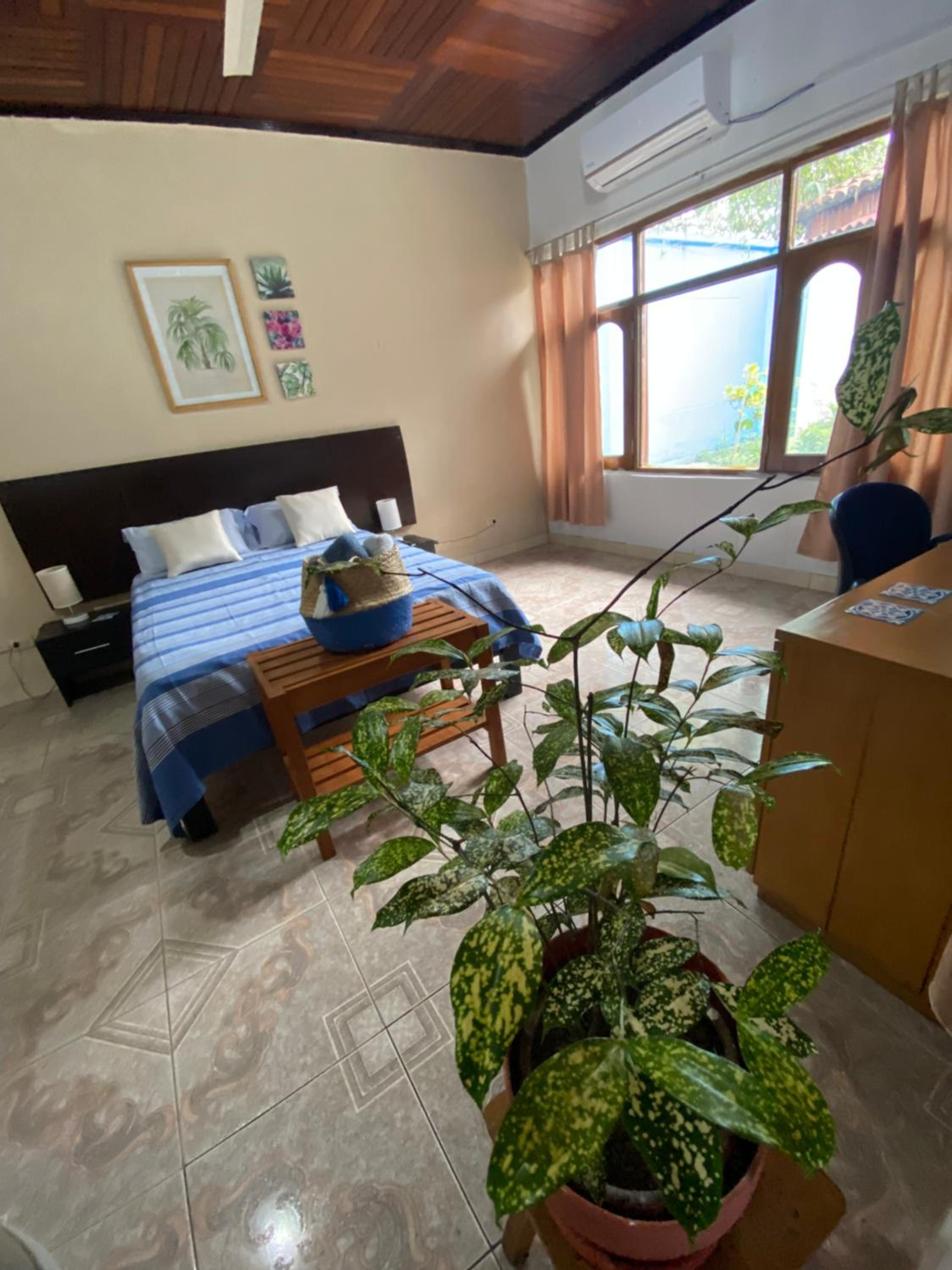 Poseidon Guest House view 4