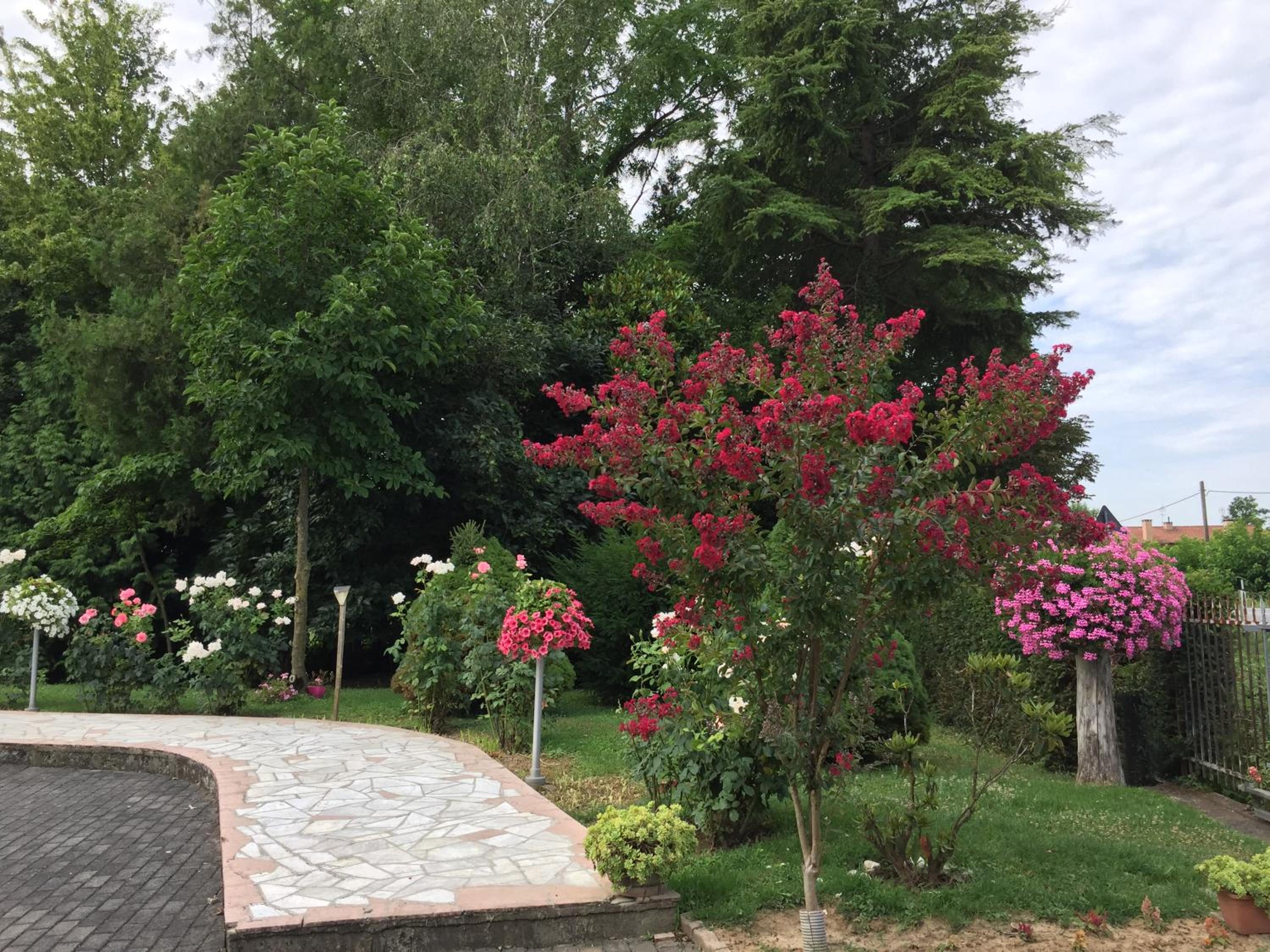 Casa di Lily - Magnifico Giardino, parcheggio privato e Free Wifi view 5