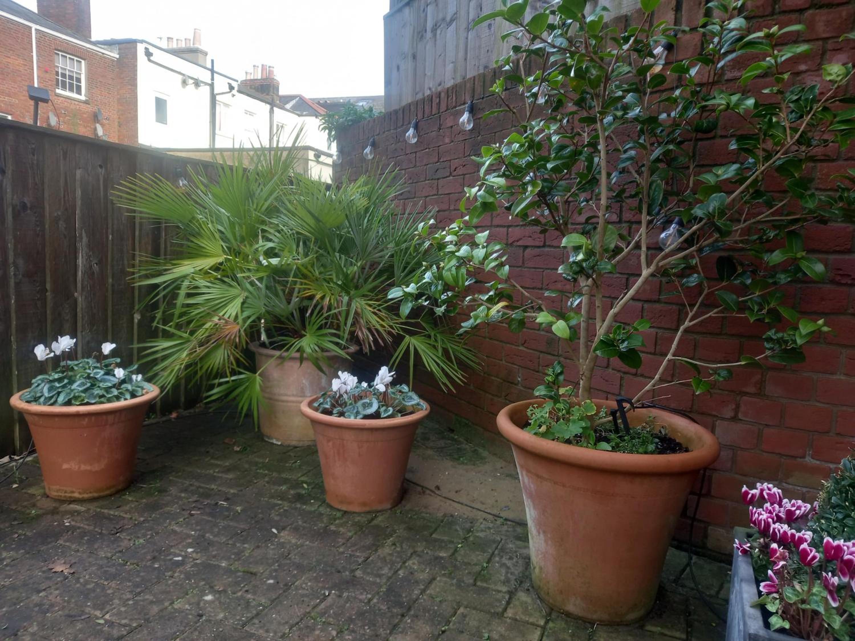 Photo 13