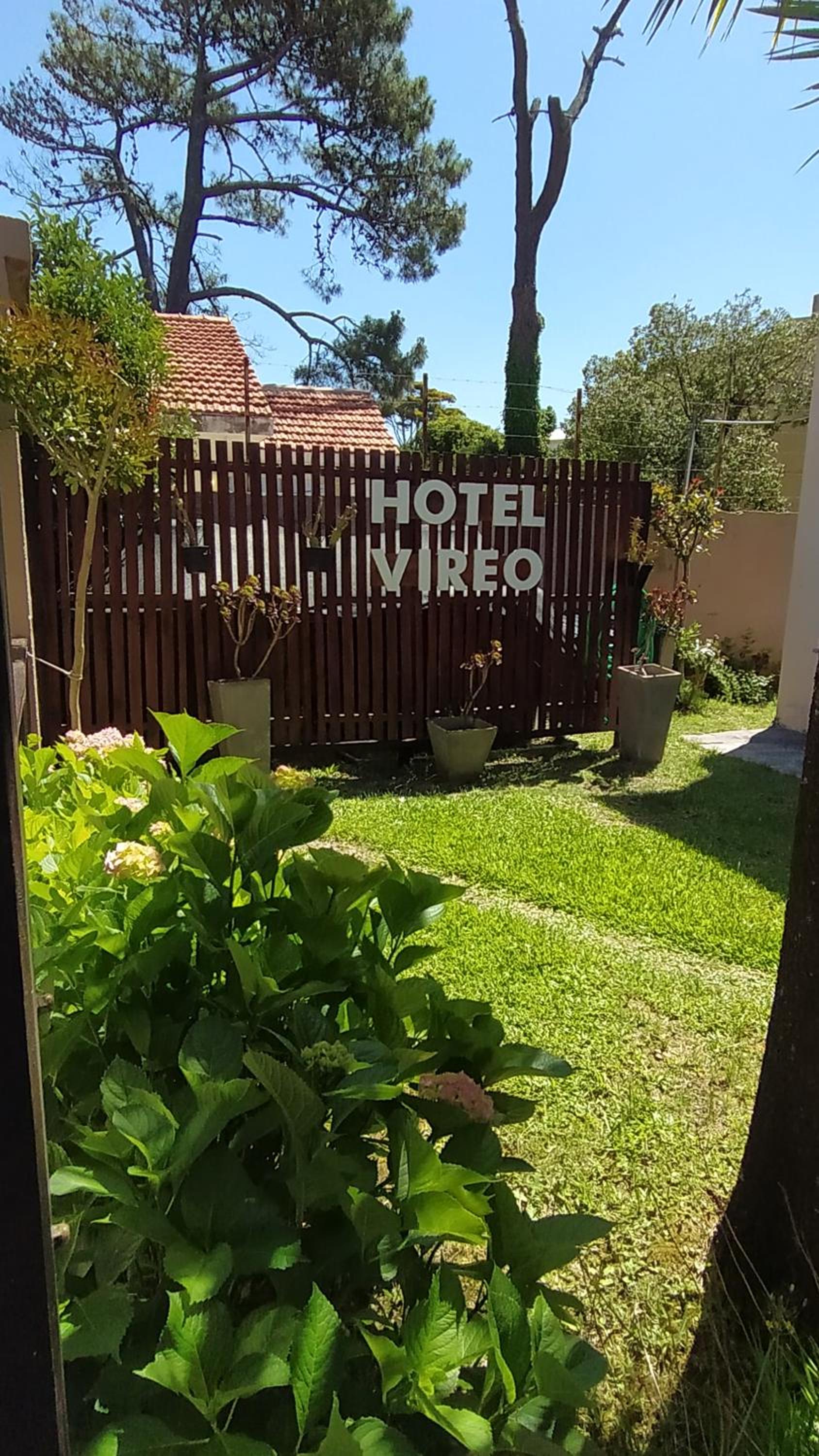 Hotel Vireo