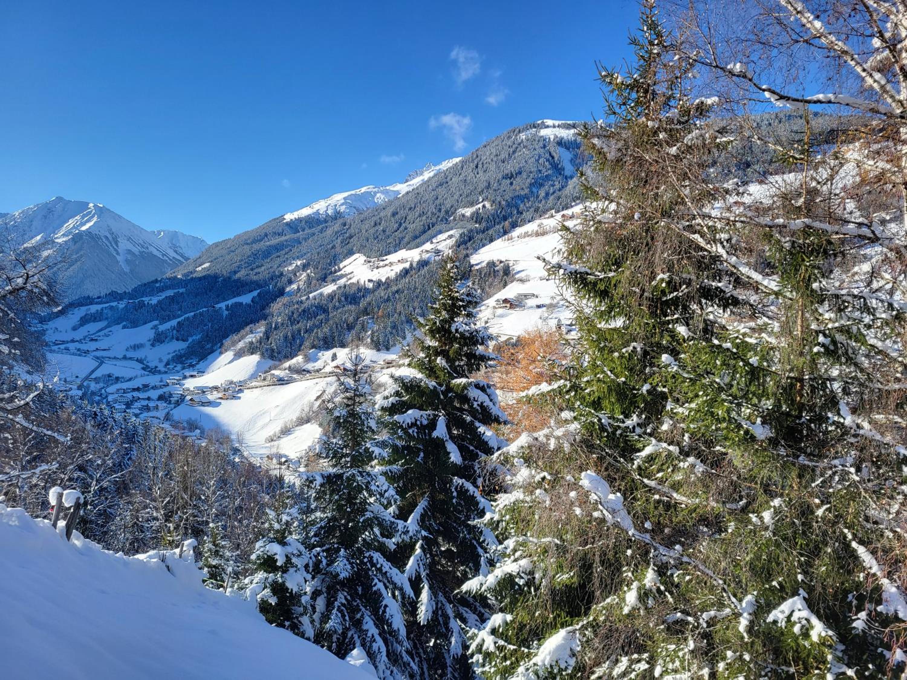 Bergbauernhof-Grinzens