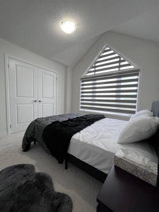 Brand New 4 bedroom Villa by Hamilton Airport!