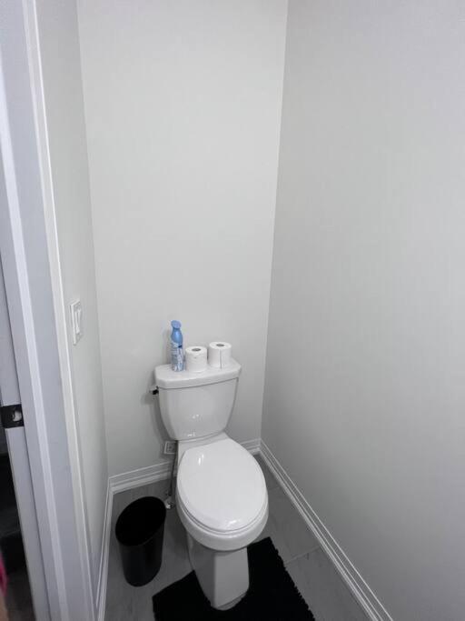 Brand New 4 bedroom Villa by Hamilton Airport!