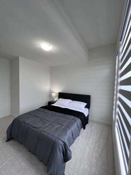 Brand New 4 bedroom Villa by Hamilton Airport!
