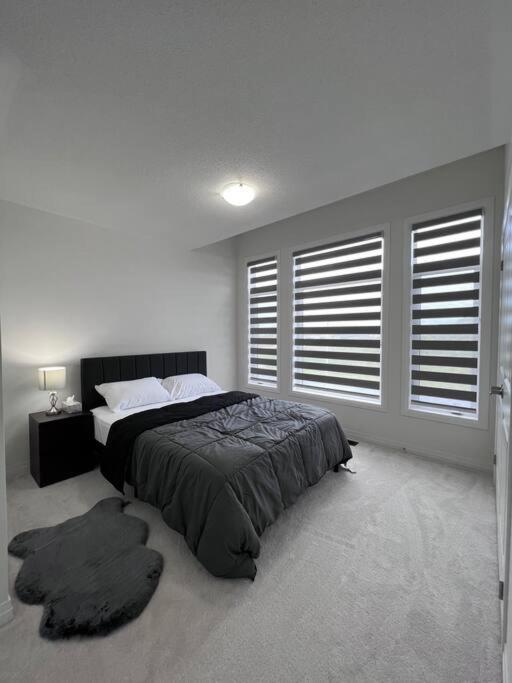 Brand New 4 bedroom Villa by Hamilton Airport!