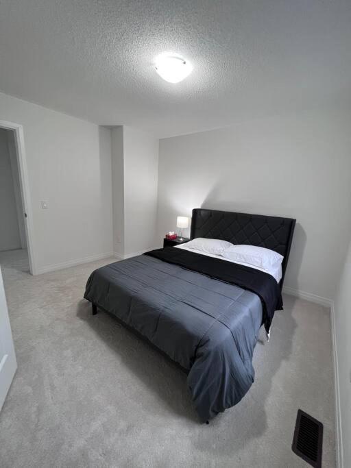 Brand New 4 bedroom Villa by Hamilton Airport!