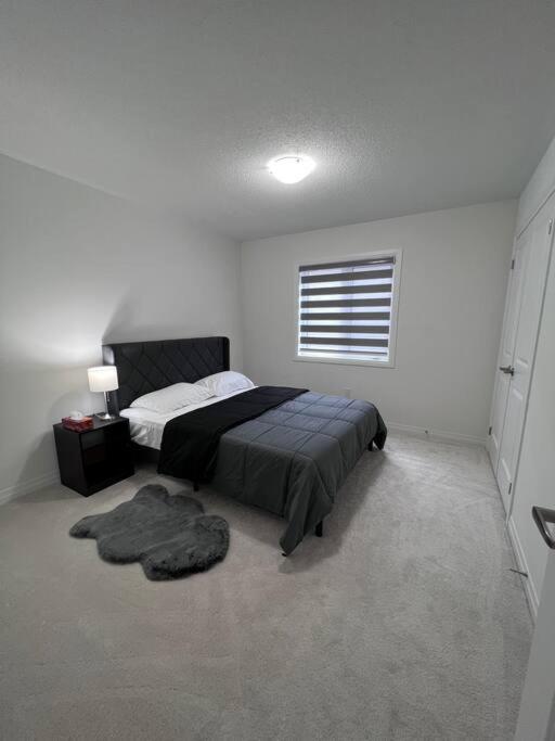 Brand New 4 bedroom Villa by Hamilton Airport!