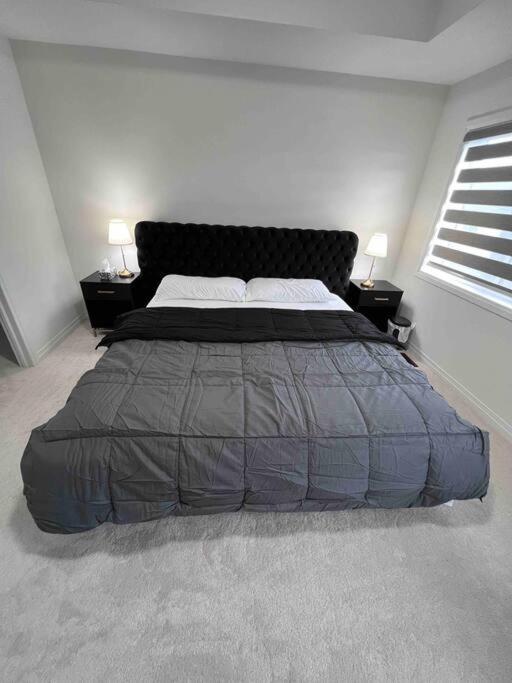 Brand New 4 bedroom Villa by Hamilton Airport!