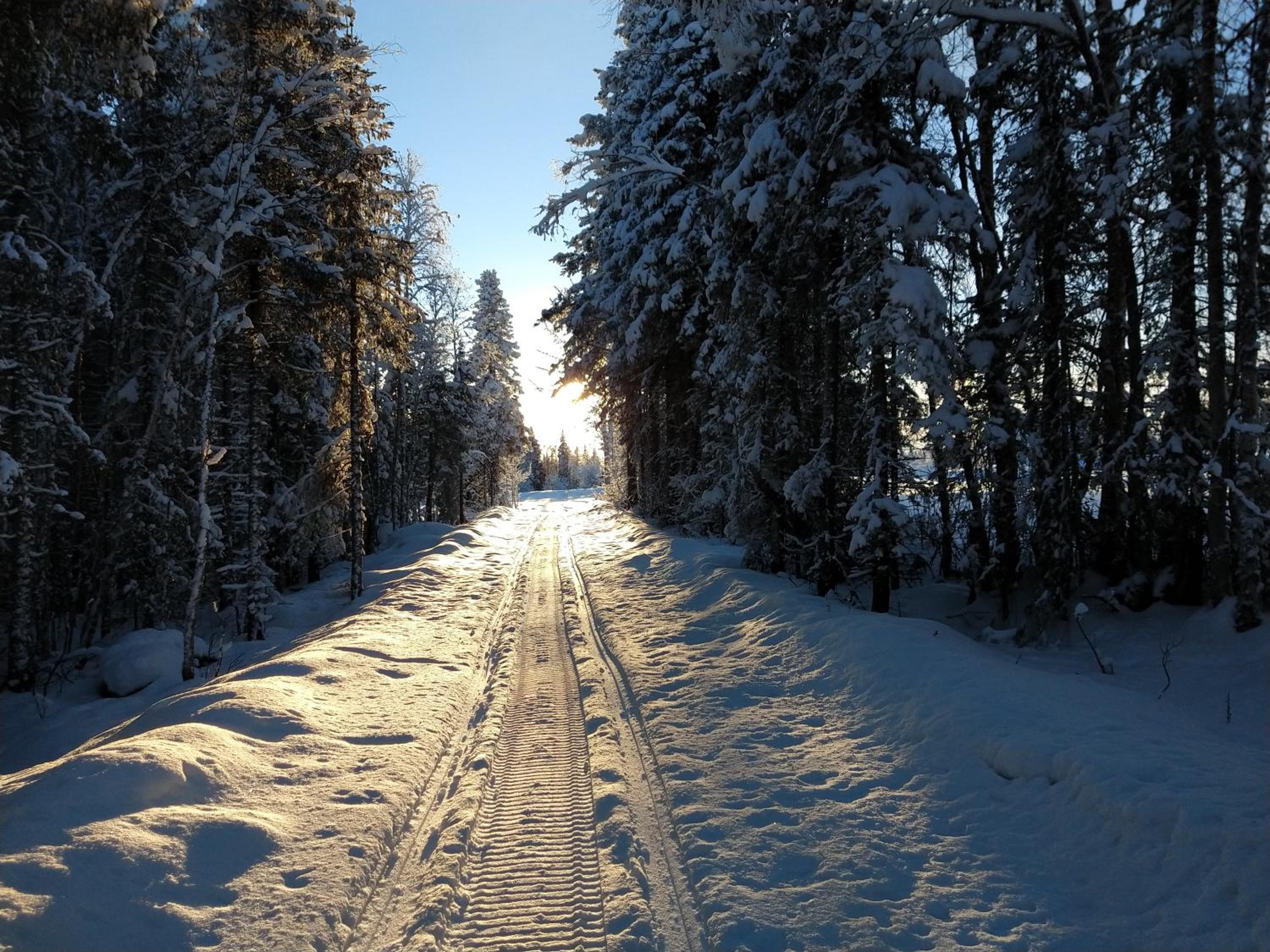 Photo 14
