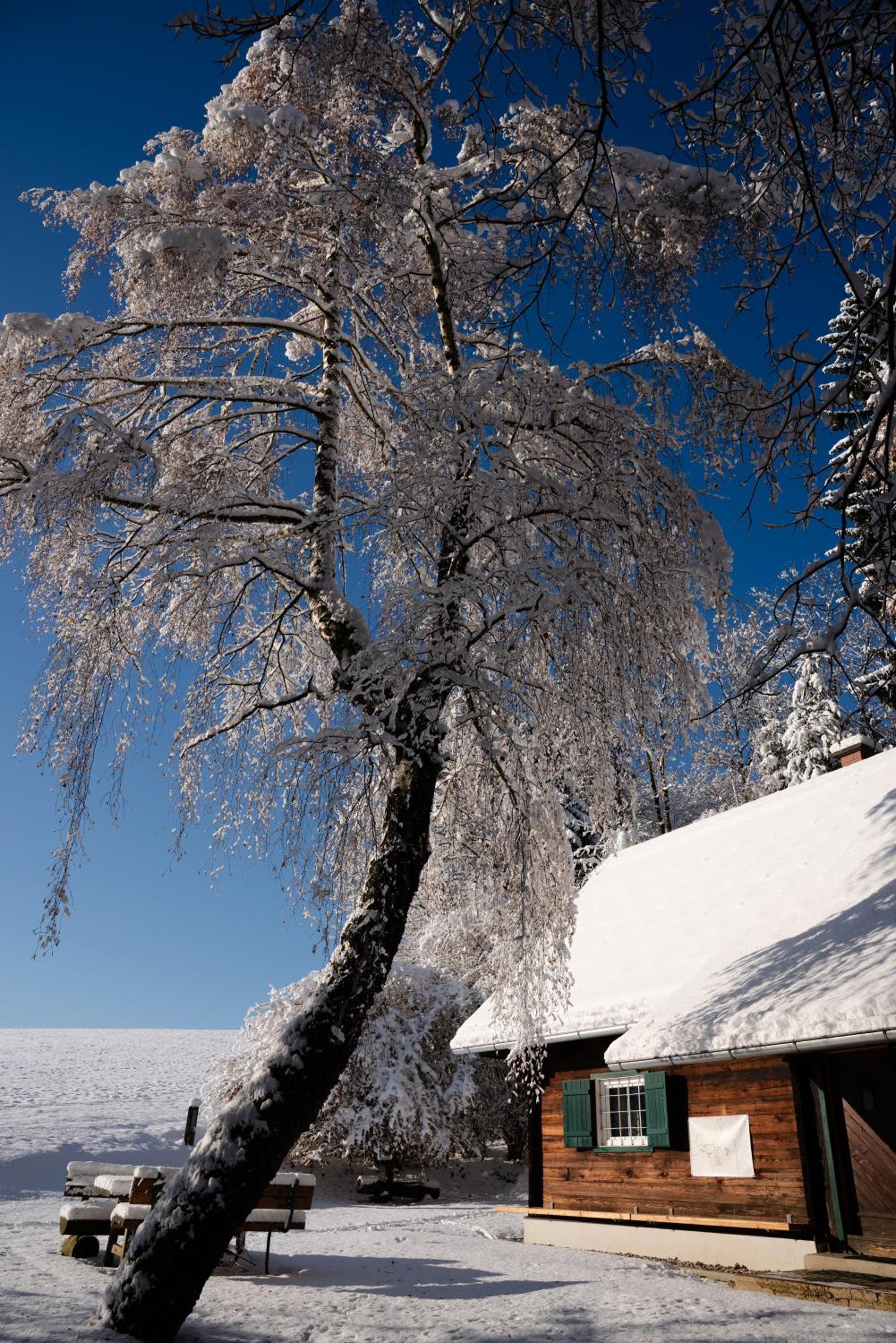 Ferienhaus in absoluter Alleinlage