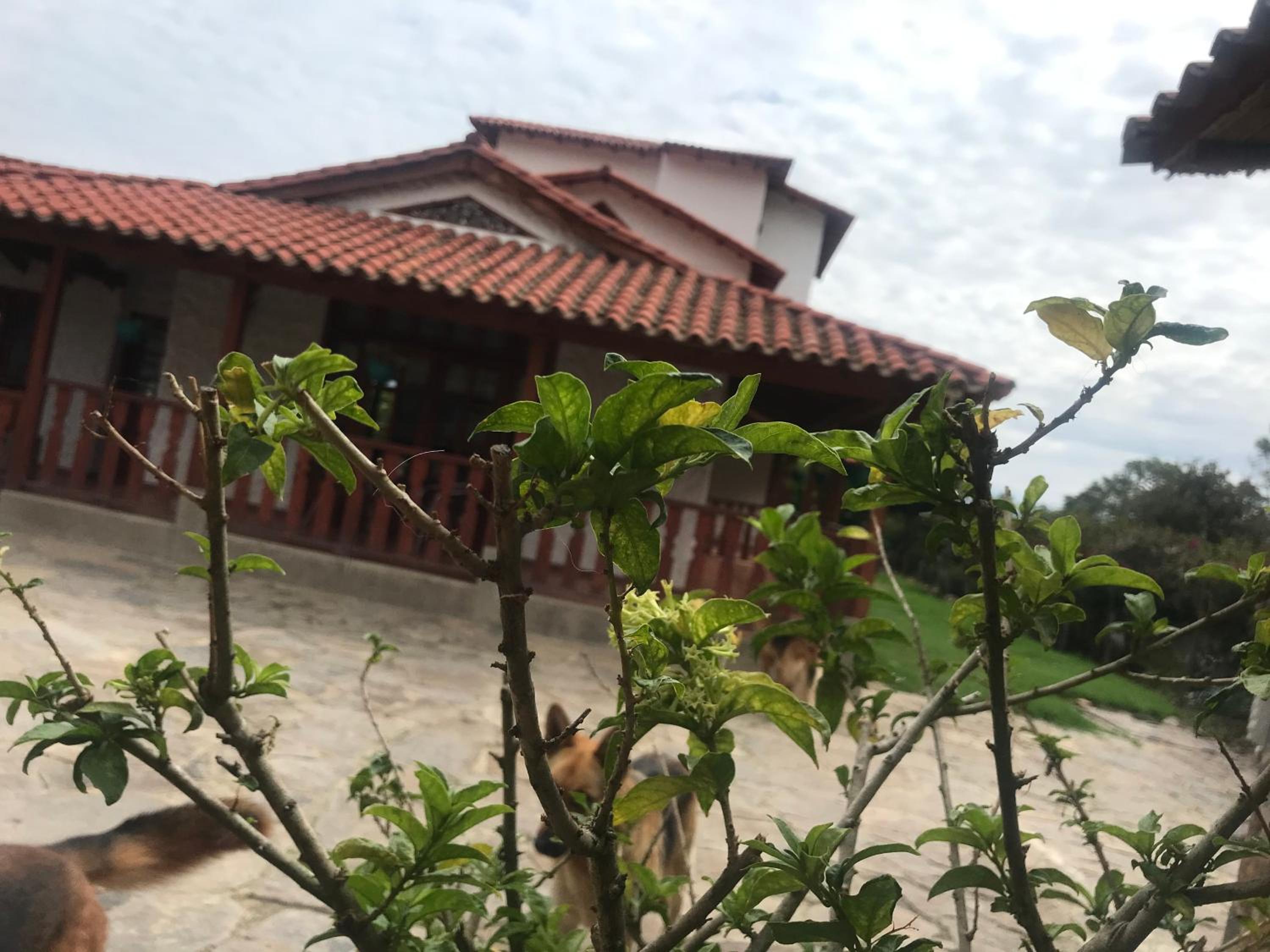 building