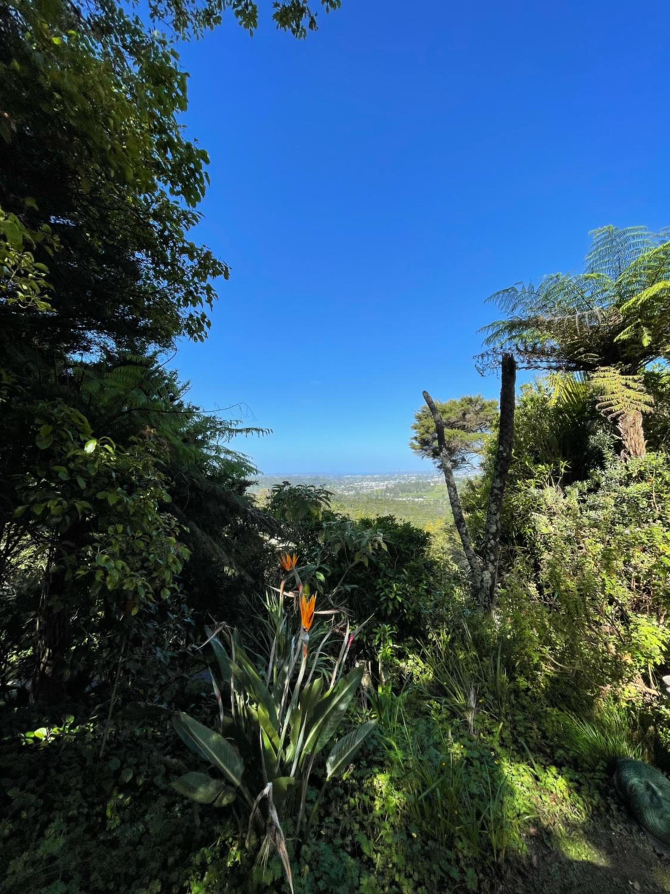 Swanson-Waitakere Stay in Scenic Sunrise view 3