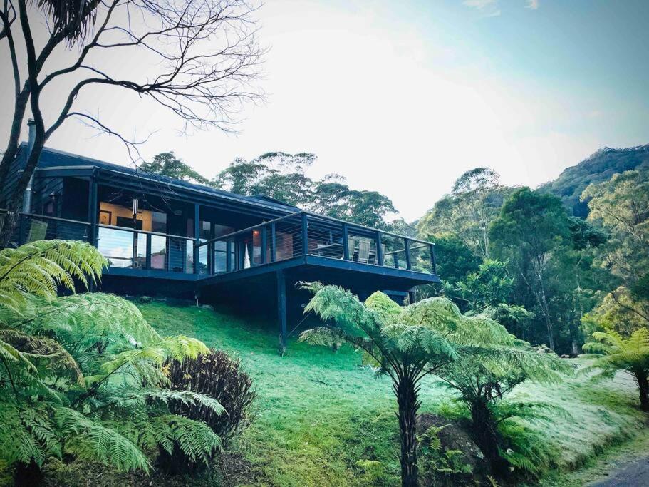 PencilWood Farm - Berry rainforest sanctuary