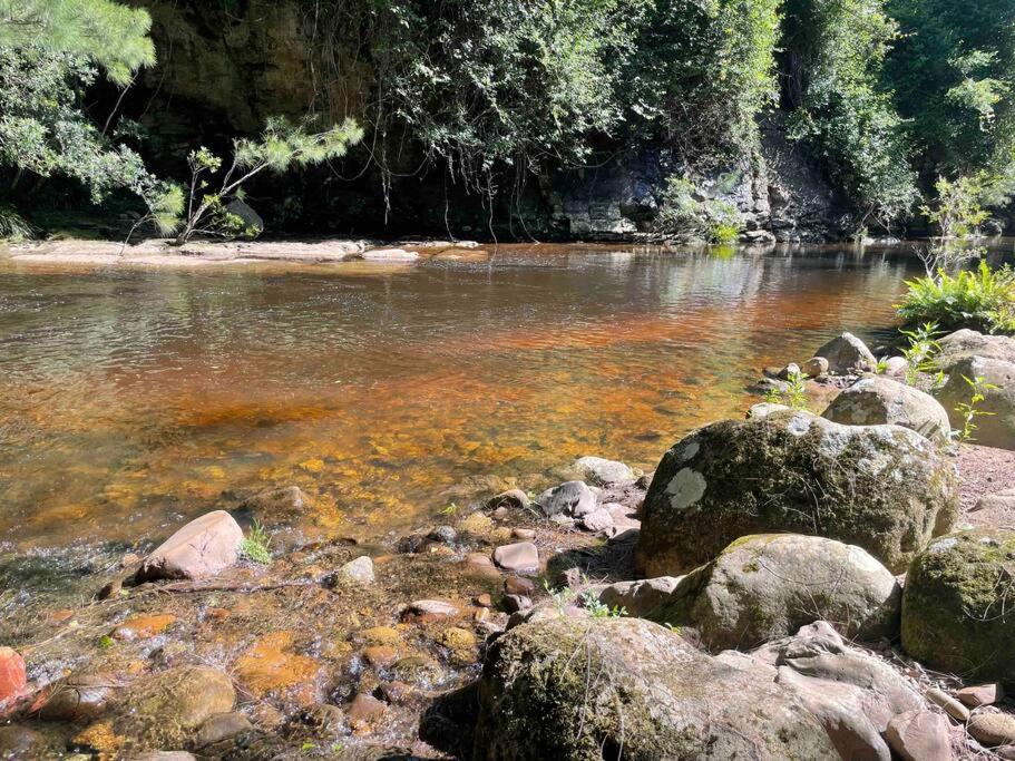 PencilWood Farm - Berry rainforest sanctuary