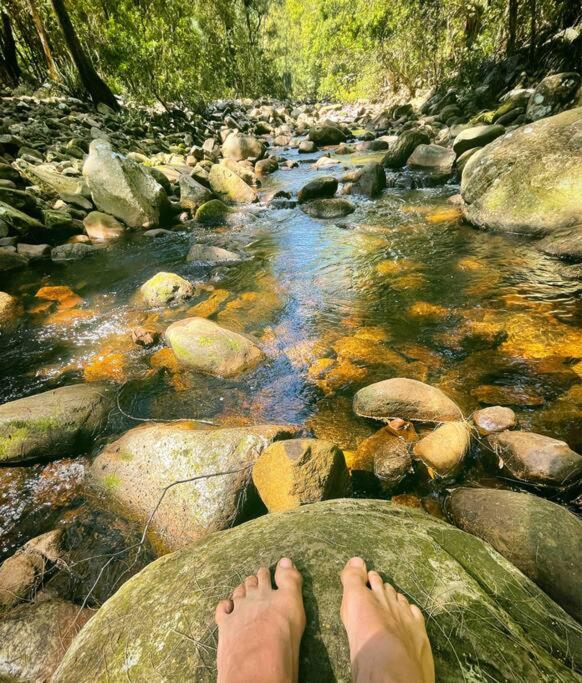 PencilWood Farm - Berry rainforest sanctuary