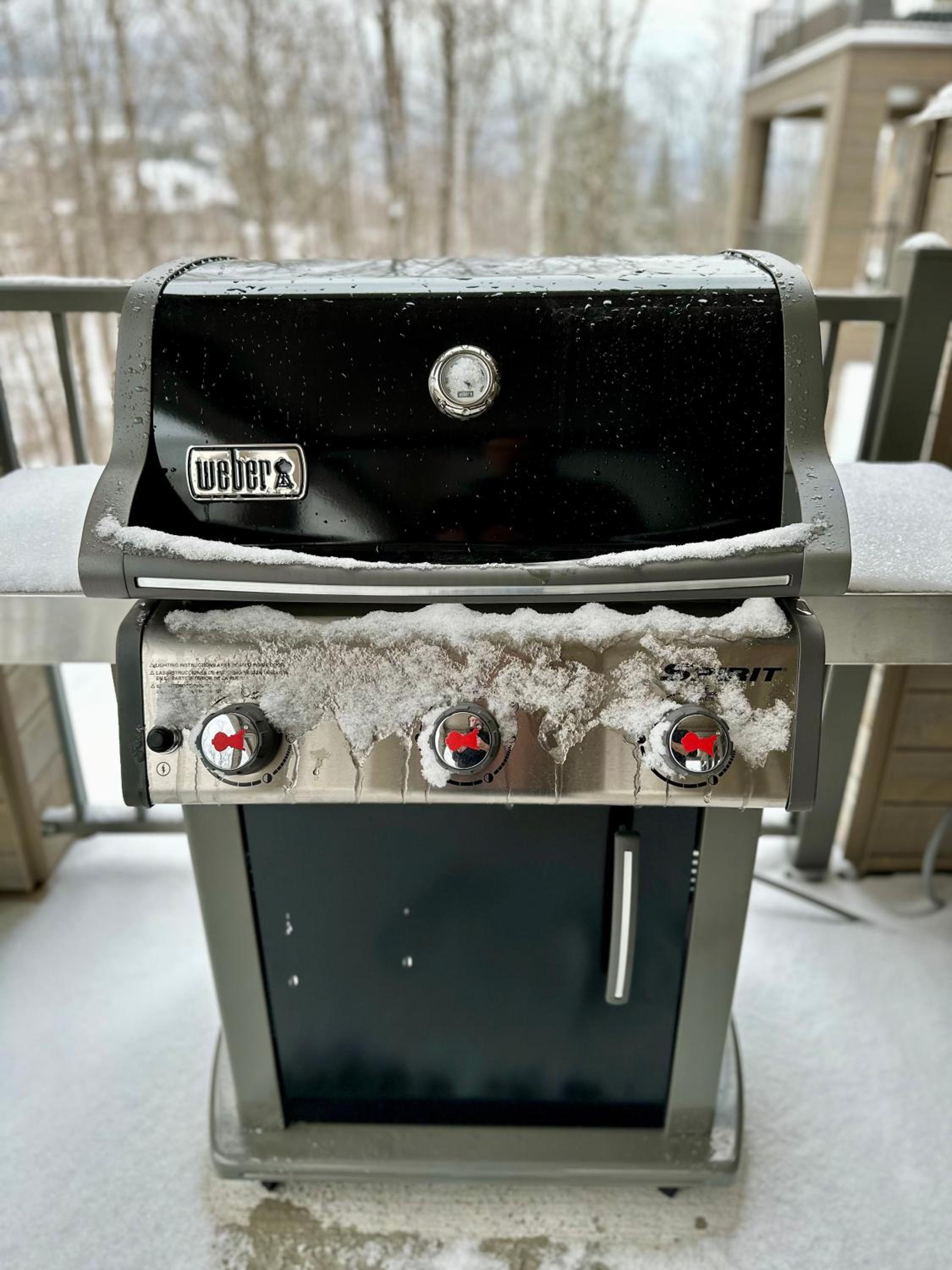 Tremblant Luxe 3BR Pet-friendly, Entertainment!