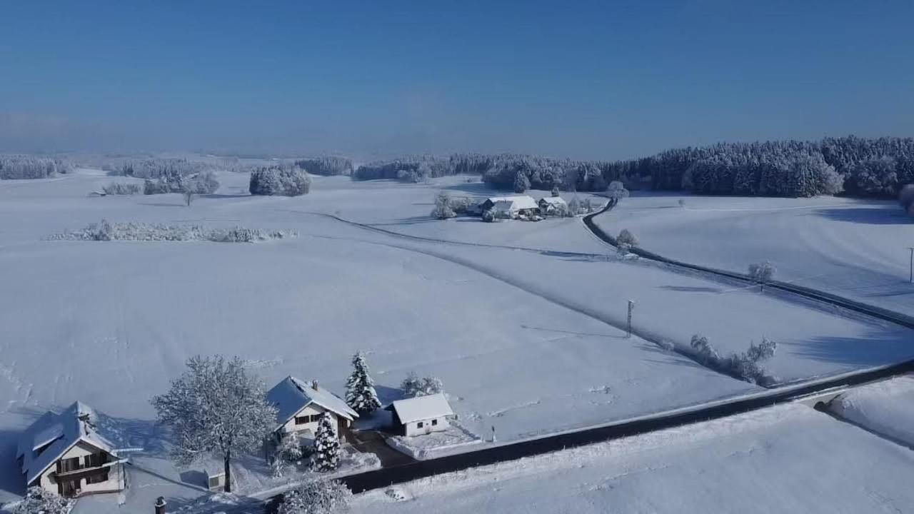 Allgäu Bergblick
