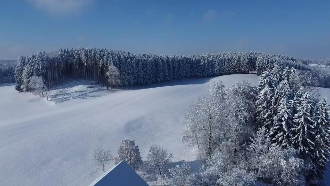 Allgäu Bergblick