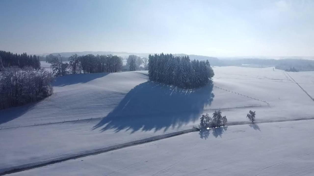 Allgäu Bergblick