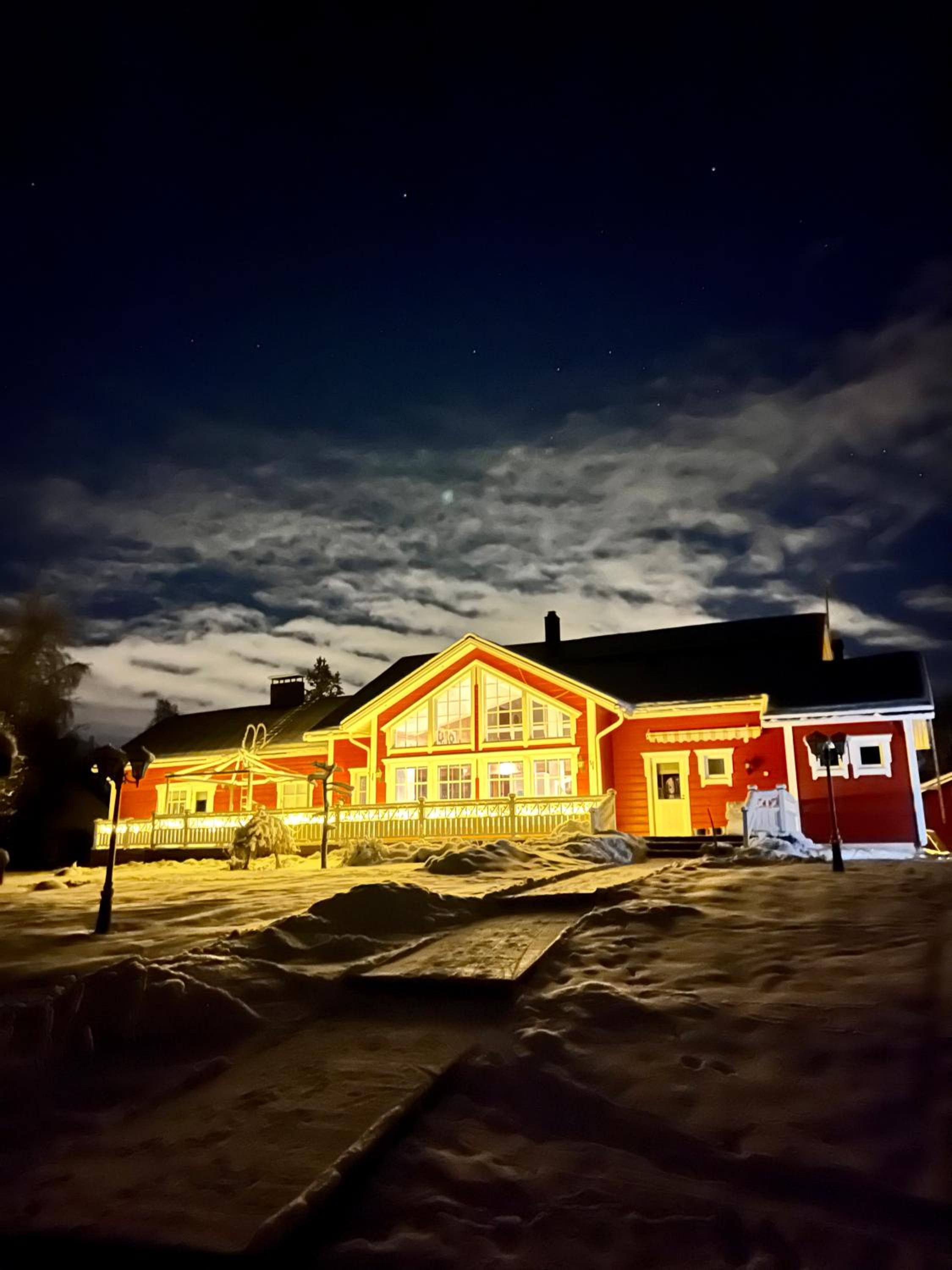 Arcticmint
