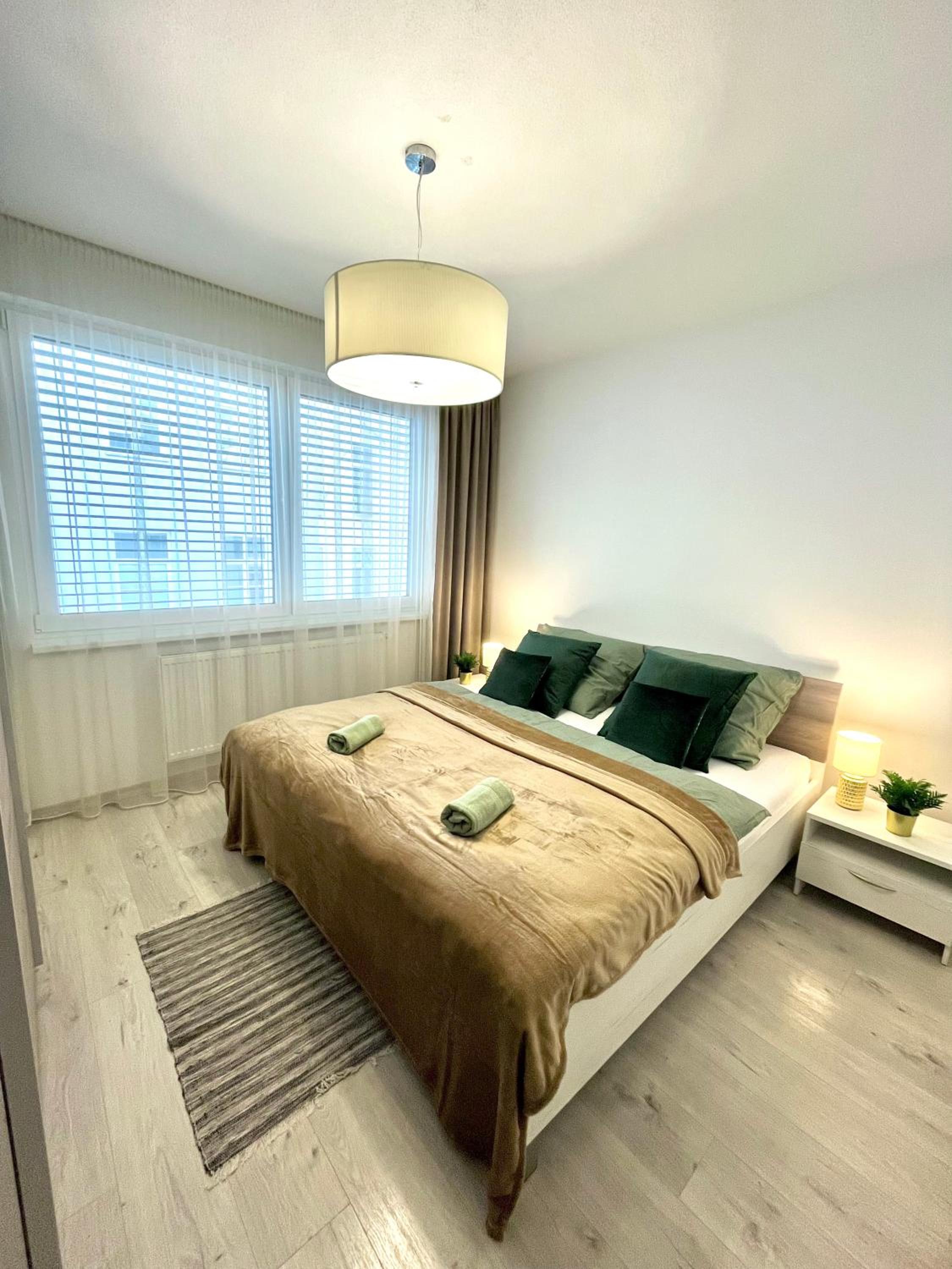 The Elite Suite II downtown AC & garage parking